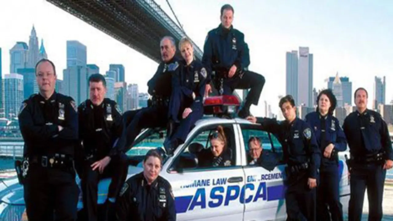 Animal Precinct backdrop