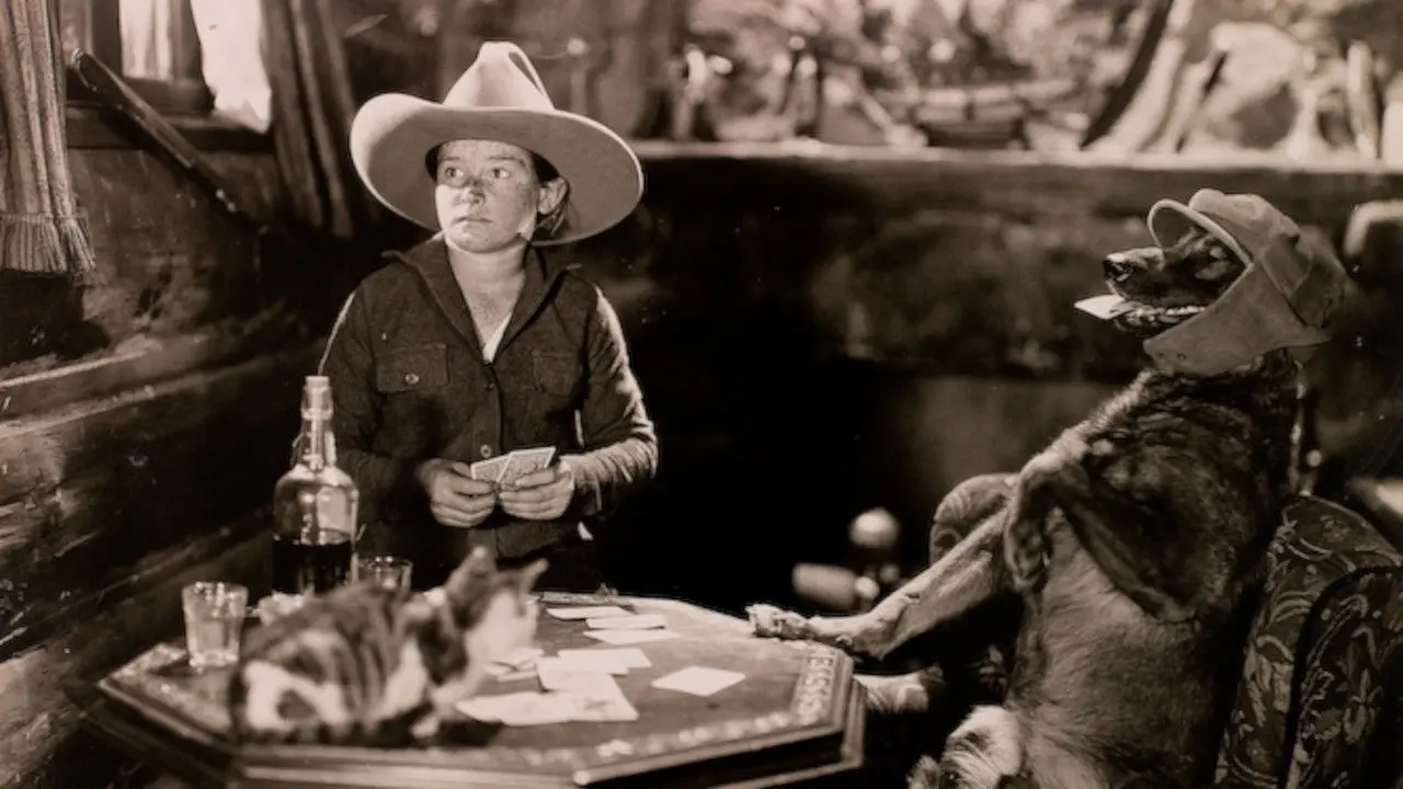 The Hound of Silver Creek backdrop