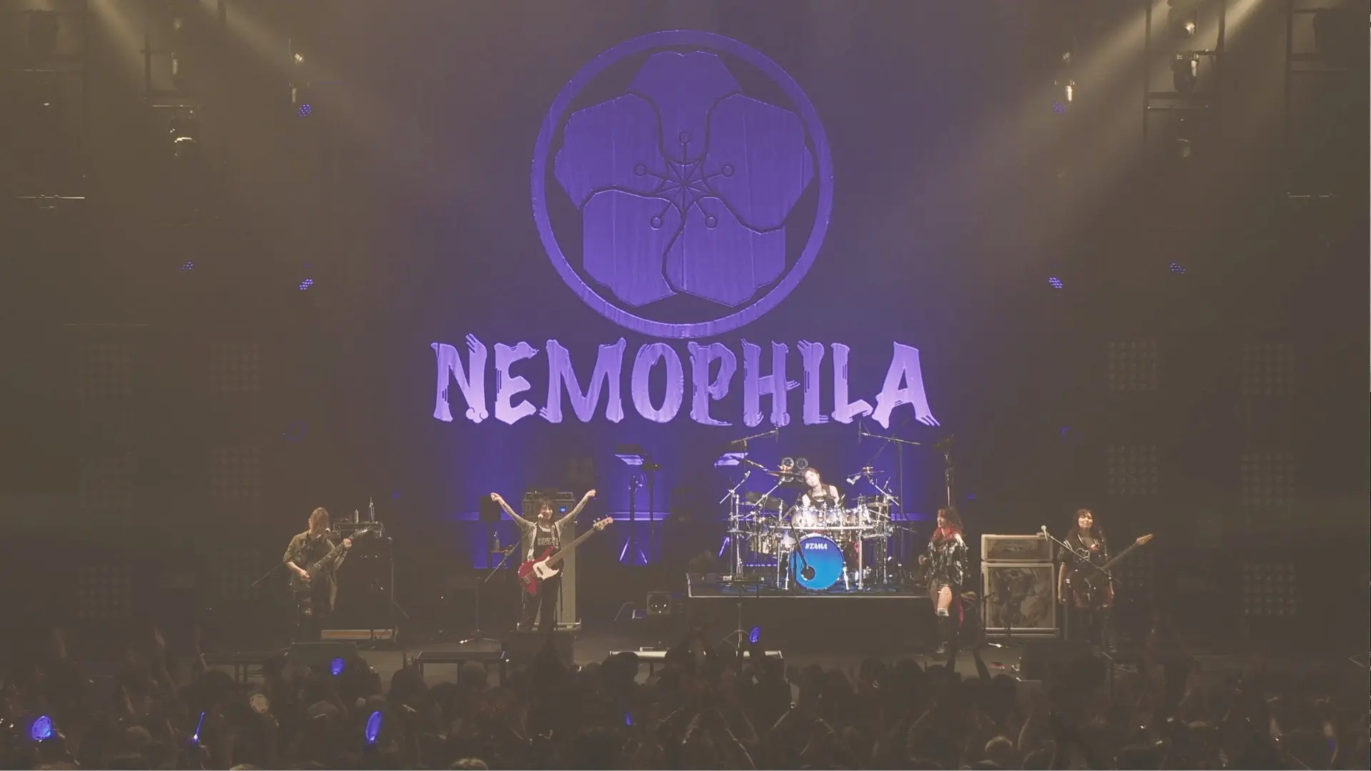 NEMOPHILA LIVE 2022 -REVIVE ～It’s sooooo nice to finally meet you!!!!!～ backdrop