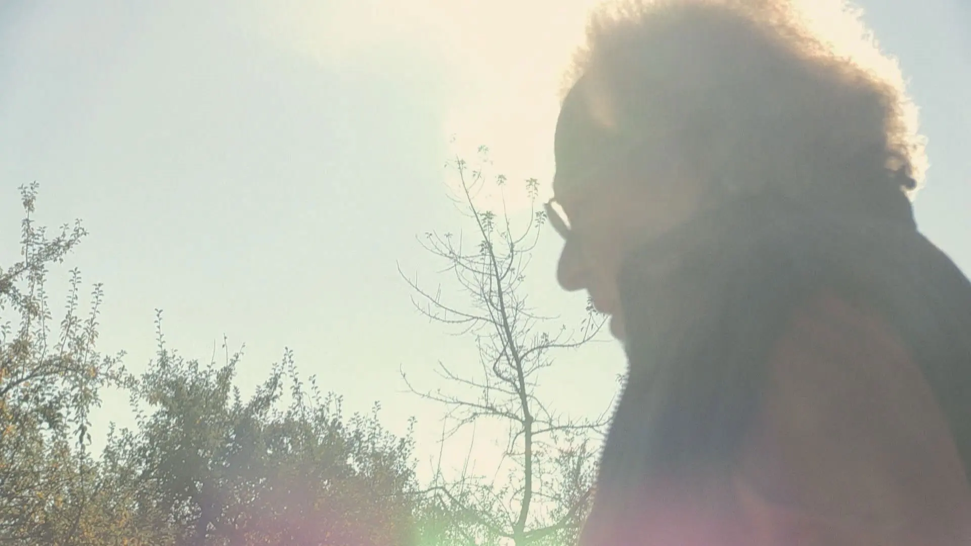 W. - What Remains of the Lie backdrop