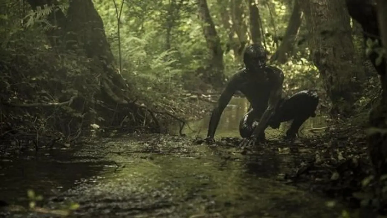 The Book Of Vision backdrop