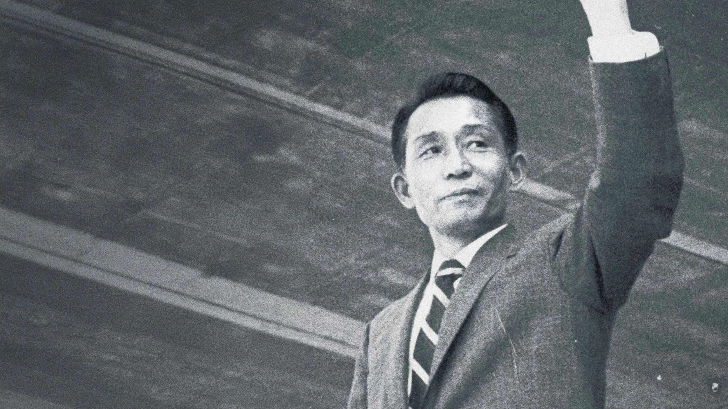 And When the Magnolia Bloom backdrop