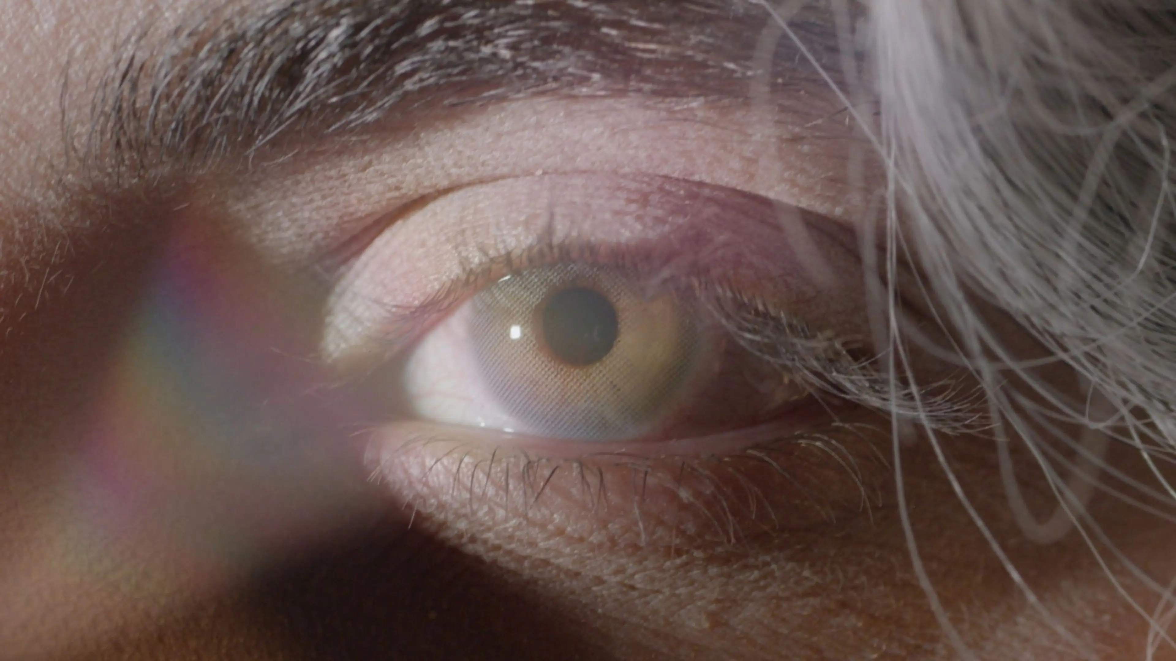 DIES MIRABILIS backdrop