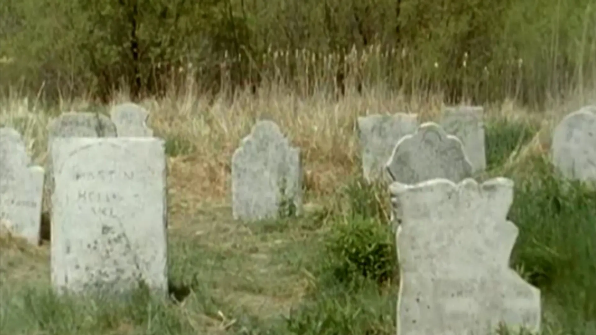 Goosebumps: Ghost Beach backdrop