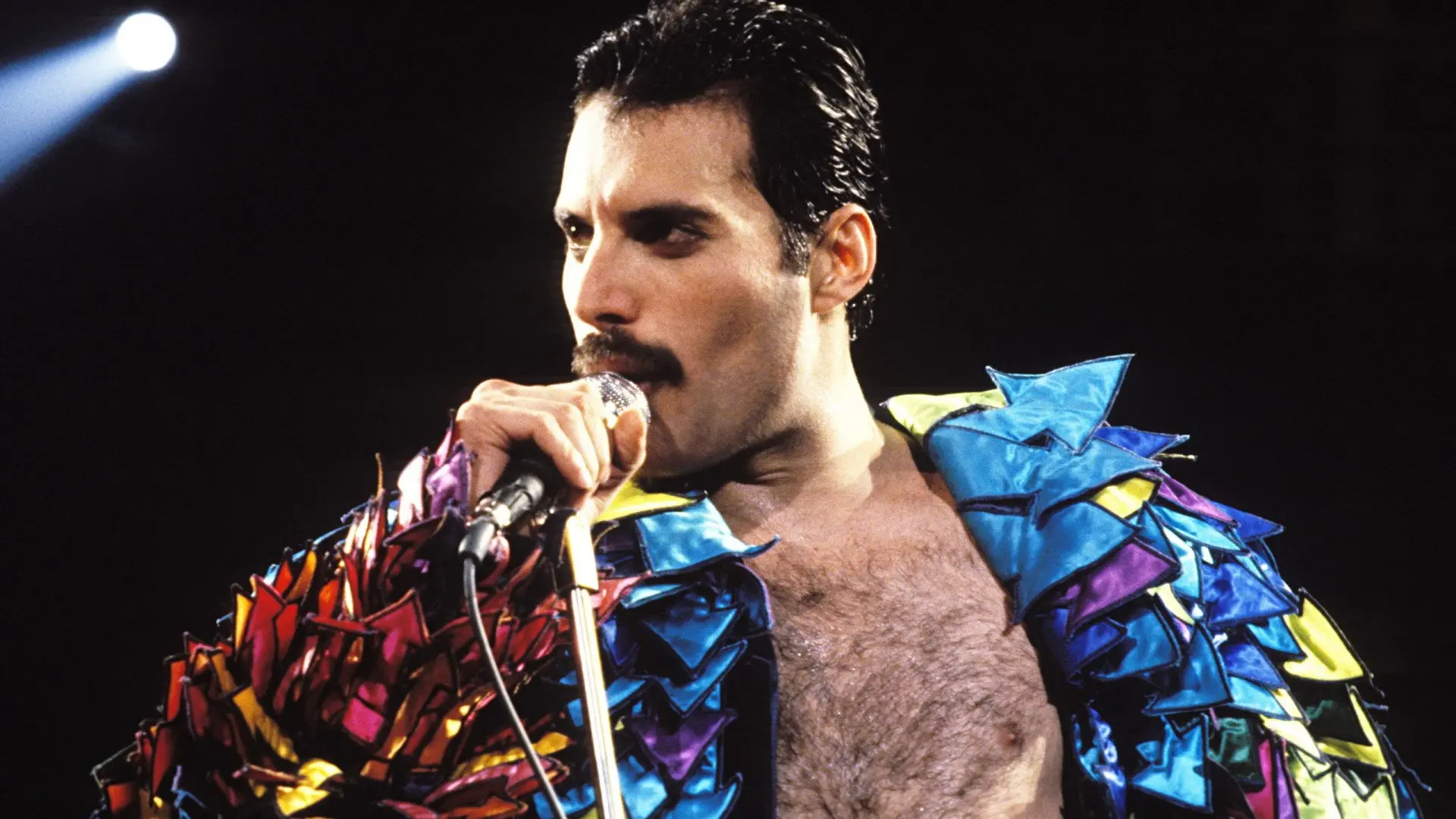 The story of Freddie Mercury backdrop