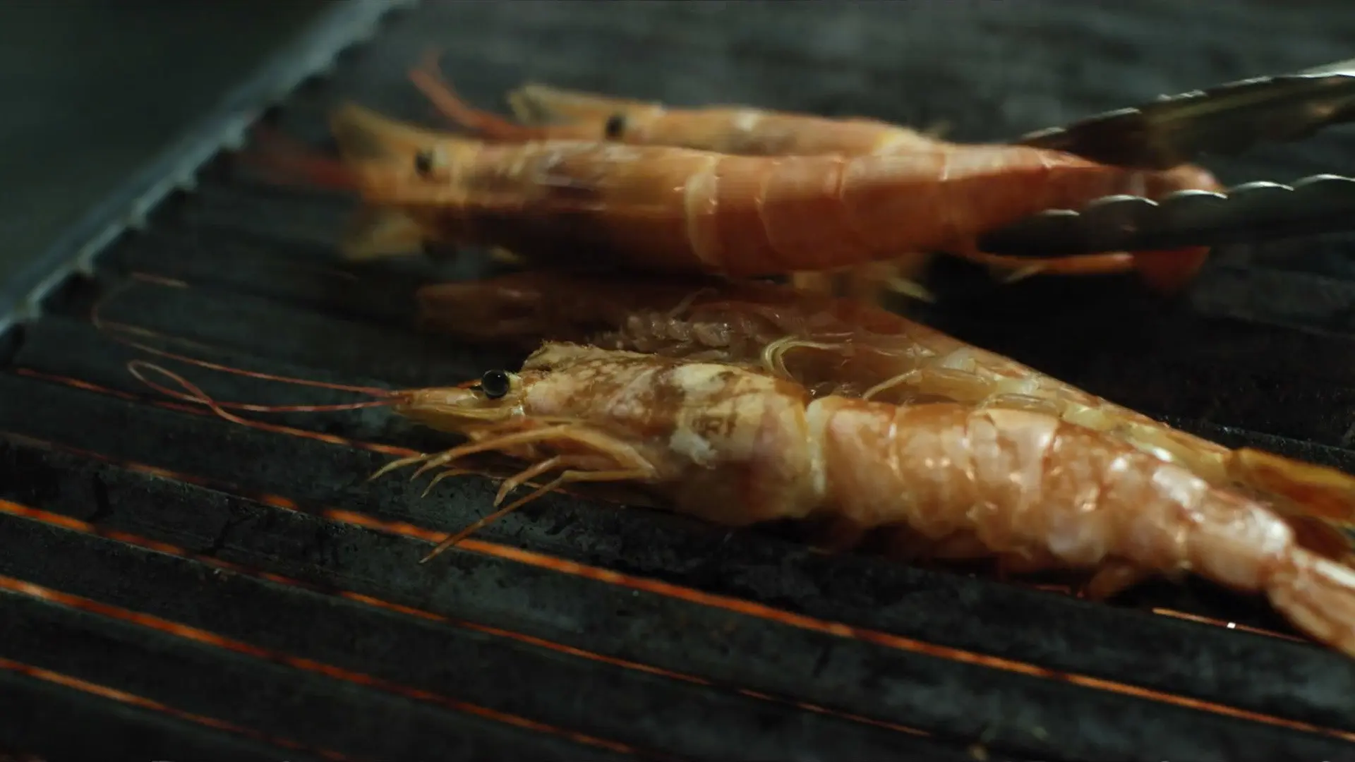 Prawn backdrop