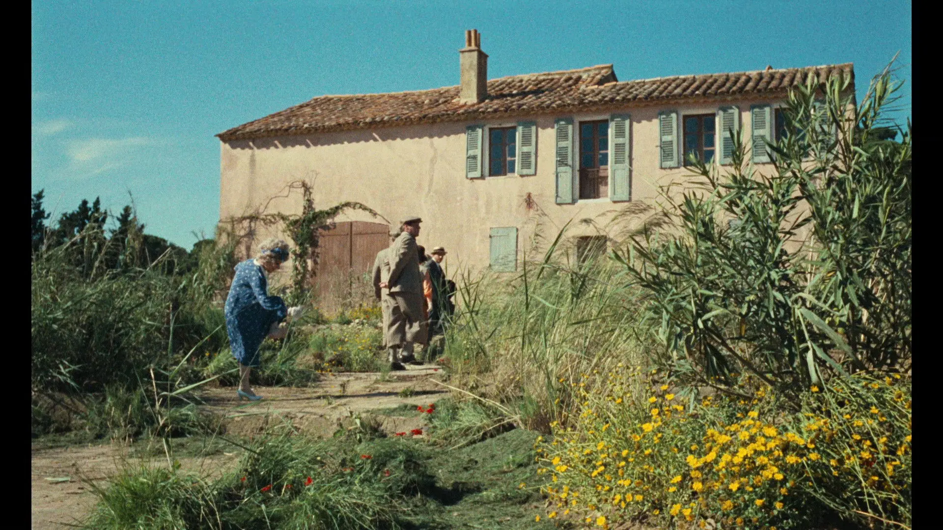 The Annuity backdrop