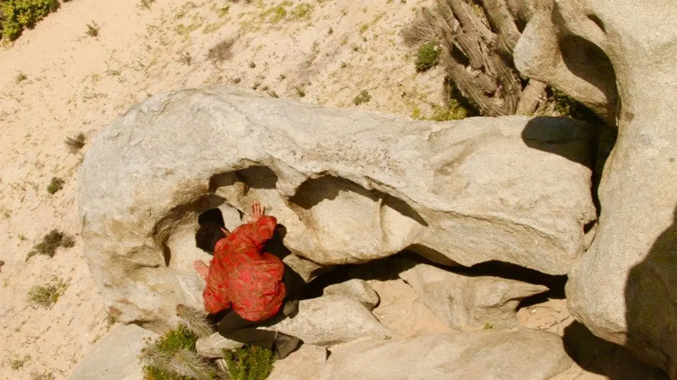 Todos tienen algo Desierto backdrop