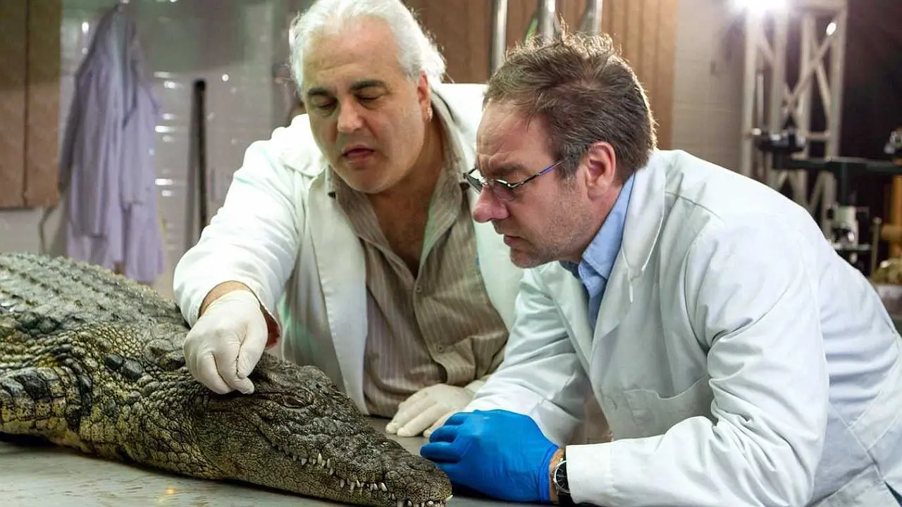 Das Krokodil - Innenansichten eines Kraftpakets backdrop