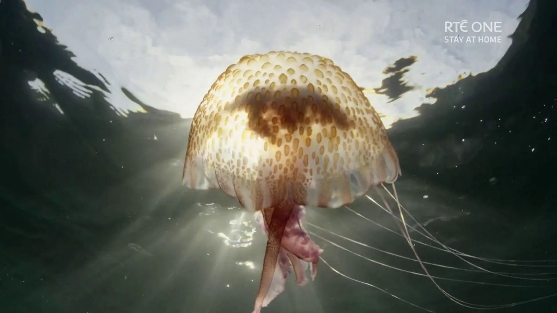Ireland's Deep Atlantic backdrop