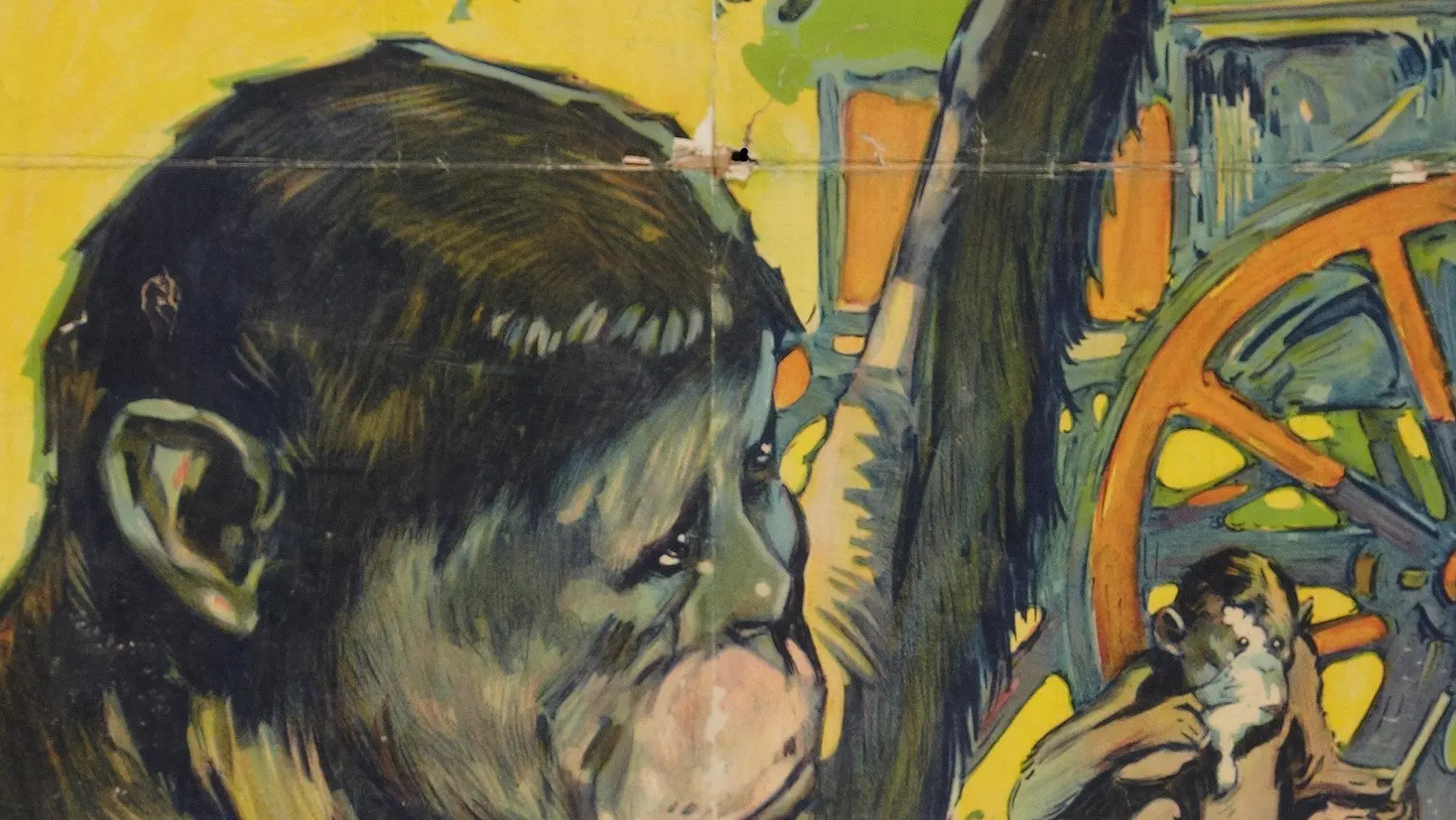 Miracles of the Jungle backdrop