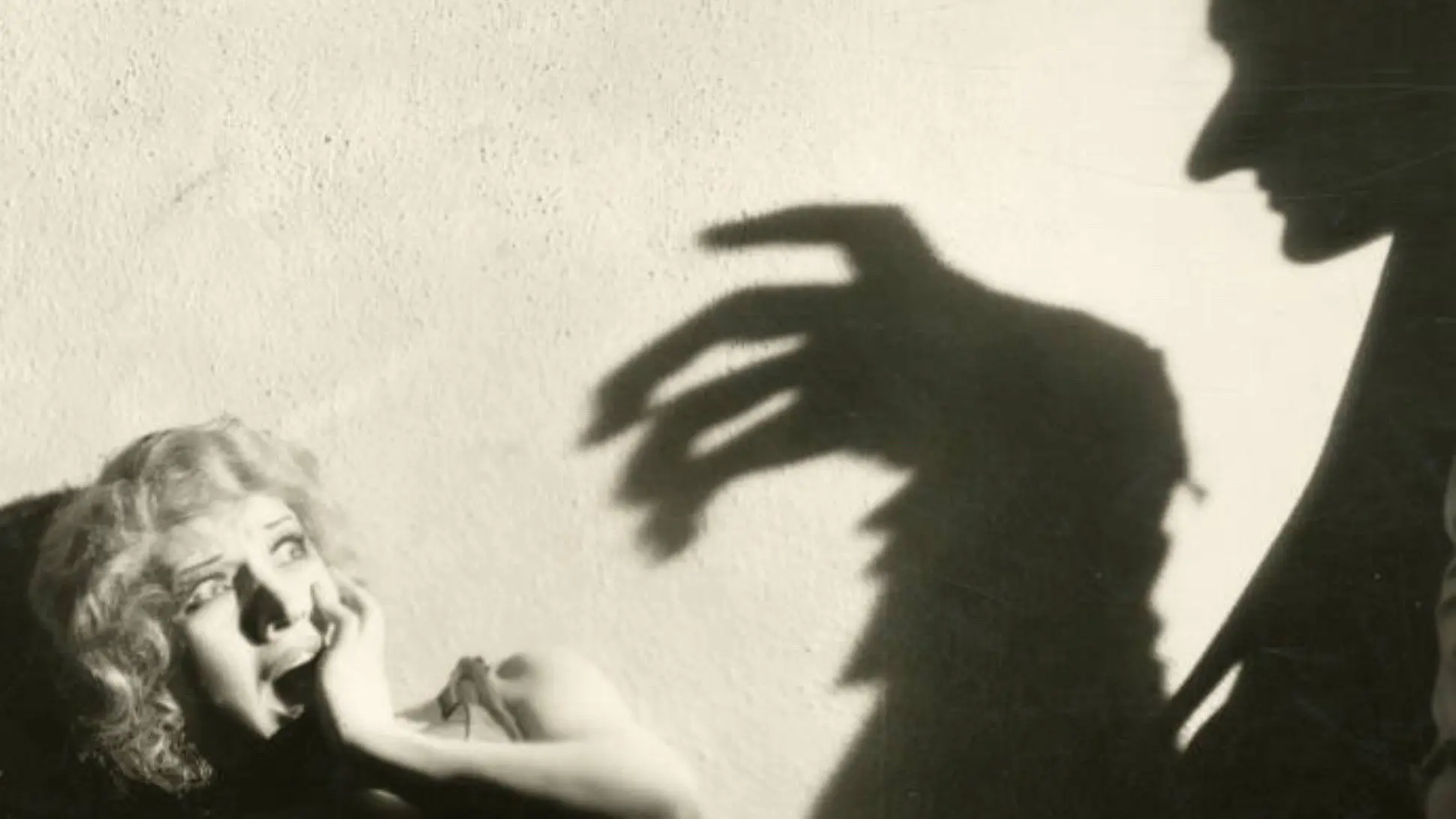 Midnight Mystery backdrop