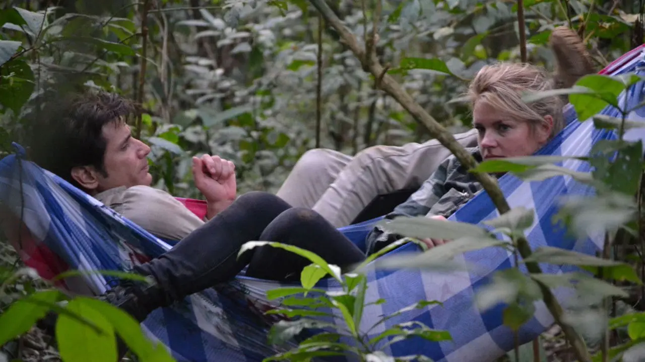 Lost Survivors backdrop