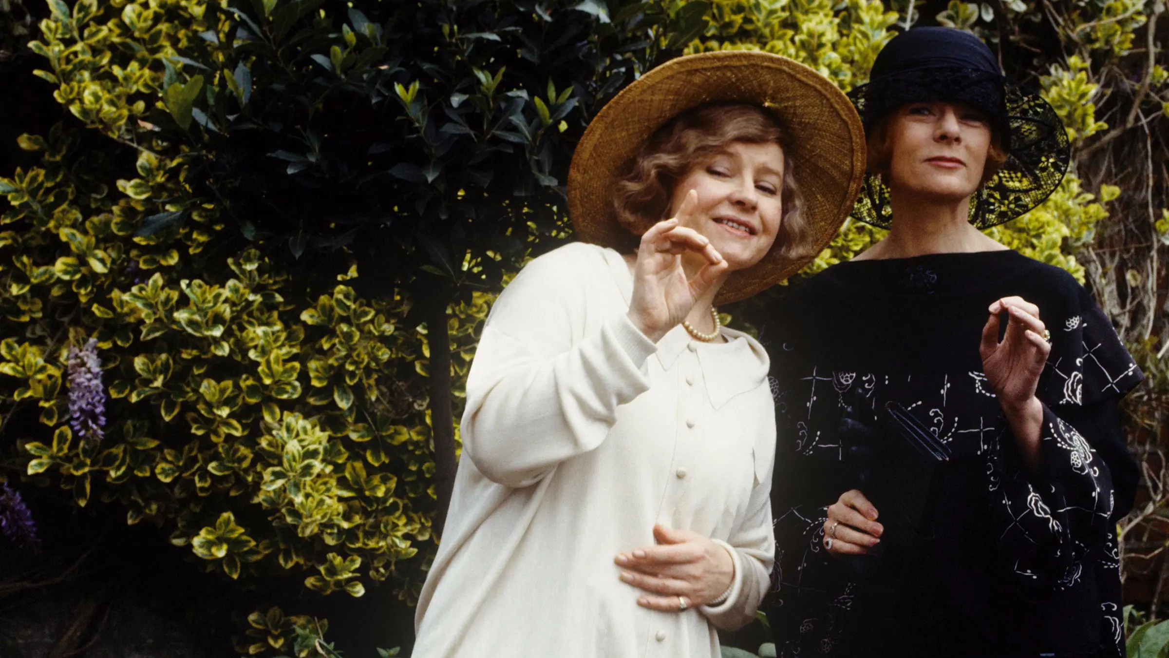 Mapp & Lucia backdrop