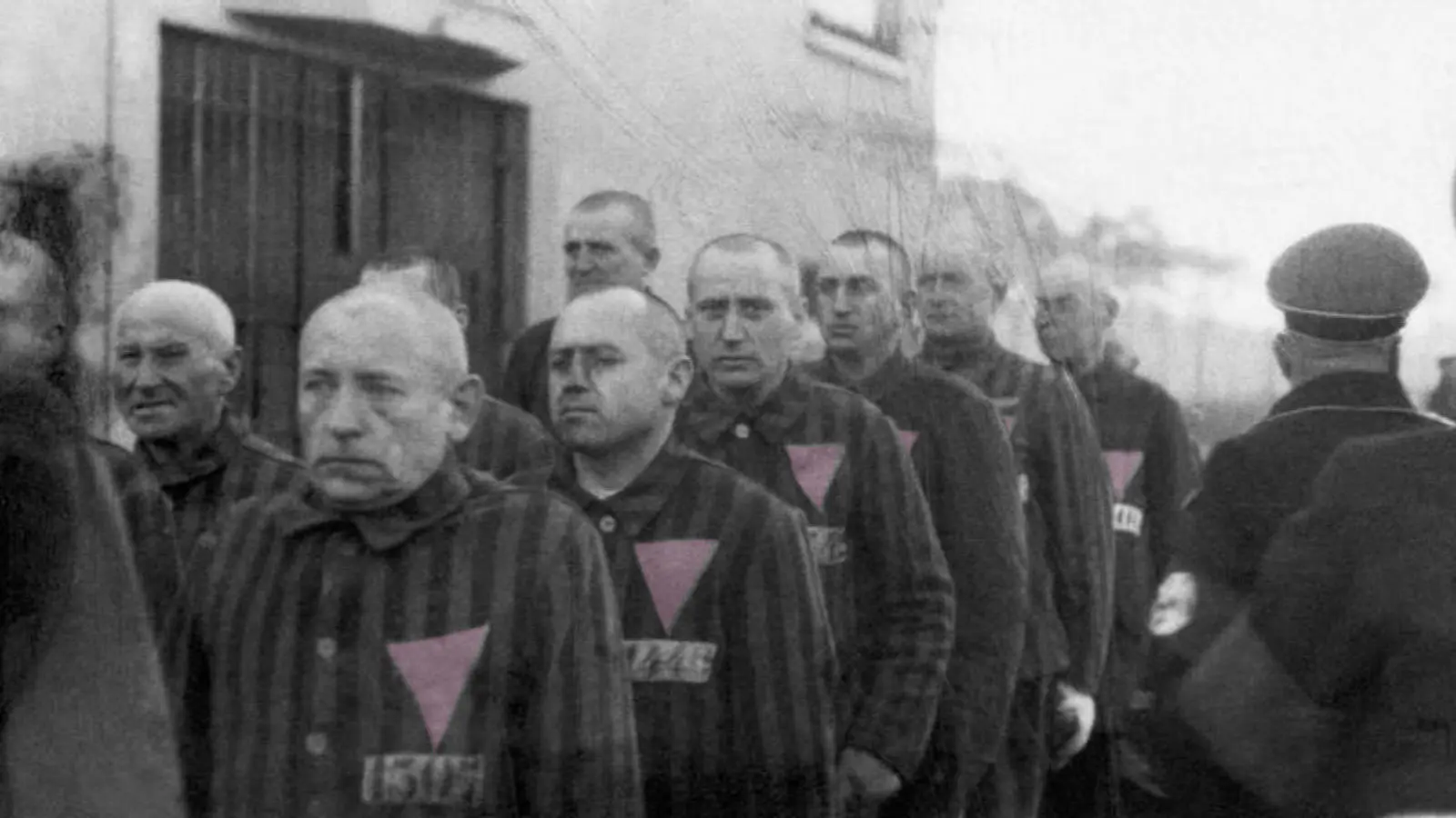 The Pink Triangle and the Nazi Cure for Homosexuality backdrop