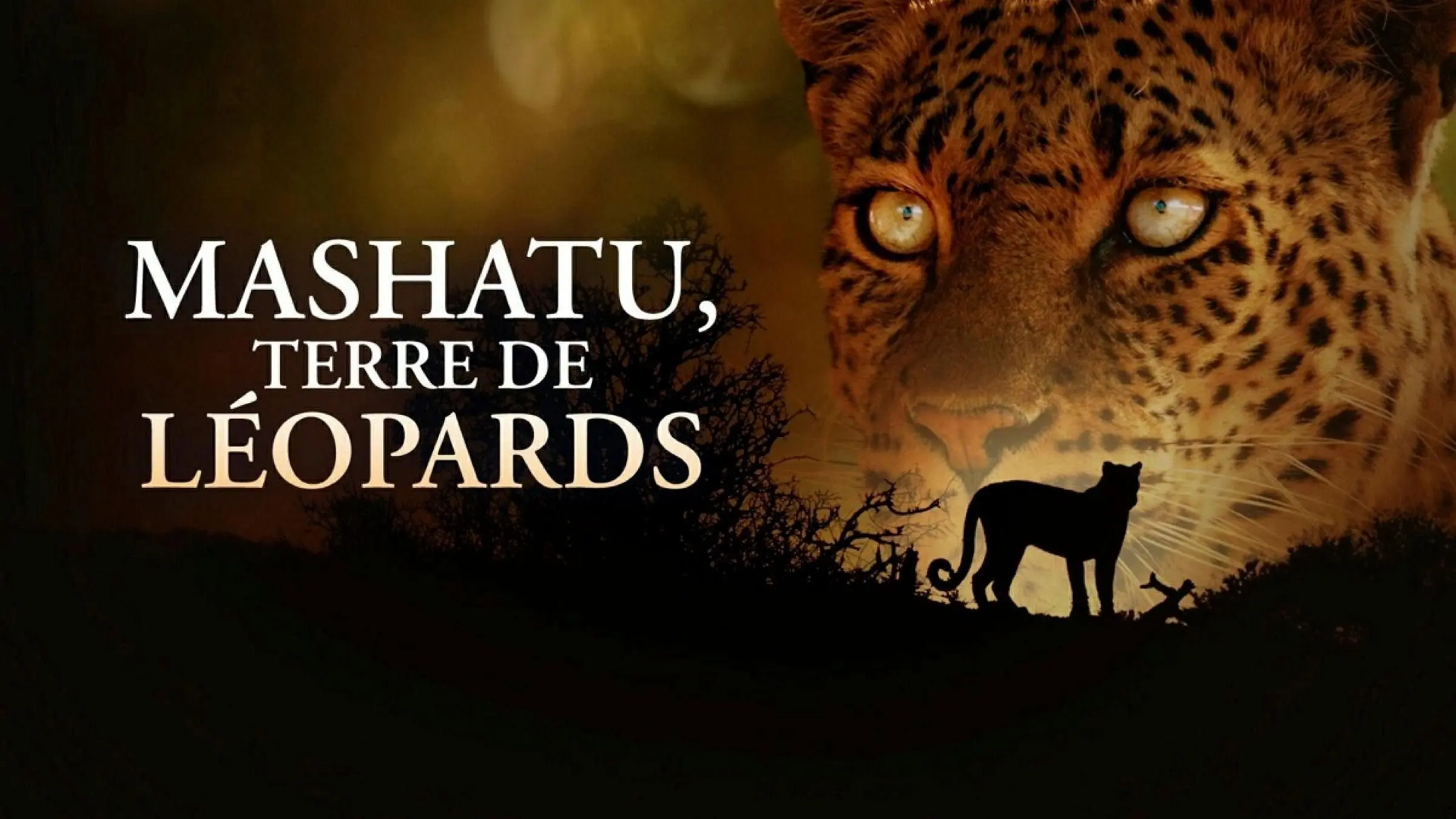 Mashatu: Land of Leopards backdrop