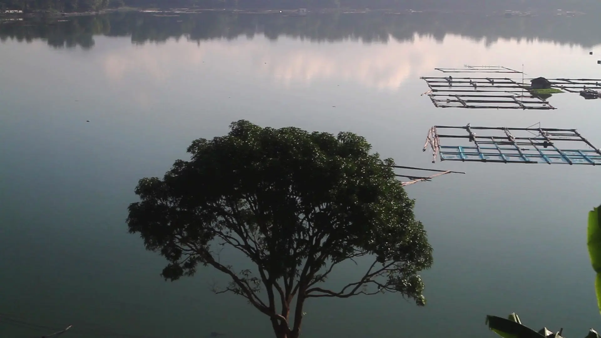 Eldest Among the Seven backdrop