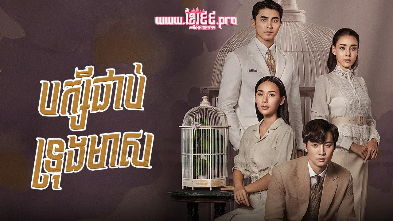 Love in a Cage backdrop