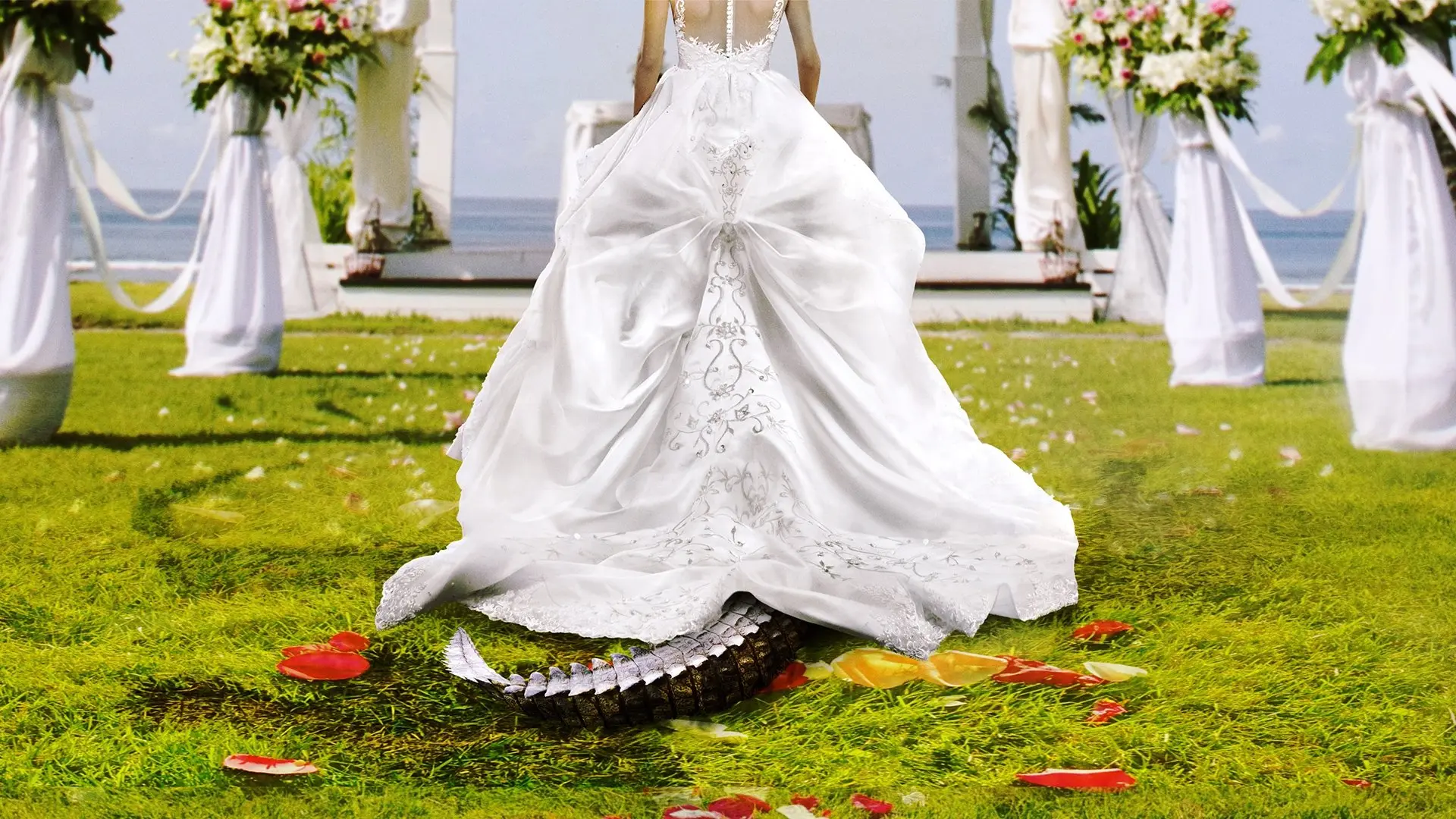 Bridezillas backdrop