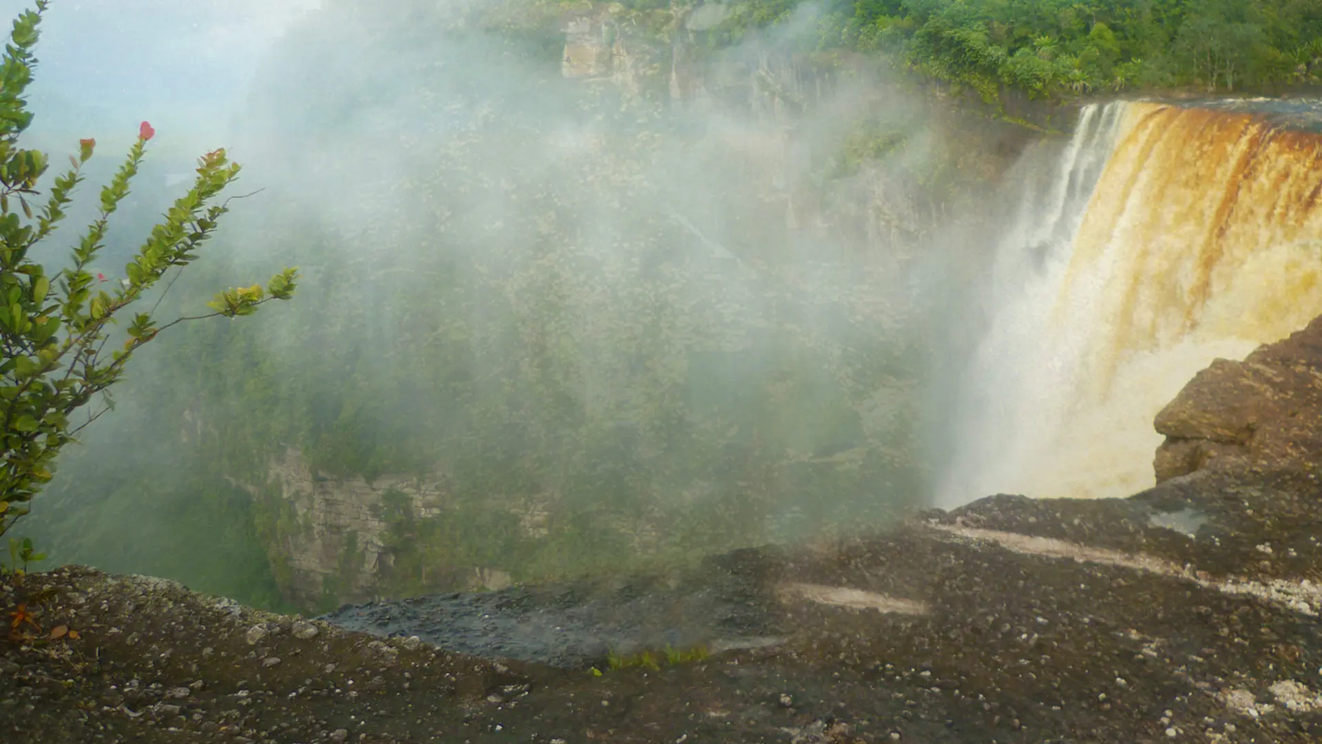 Gold Rush: South America backdrop