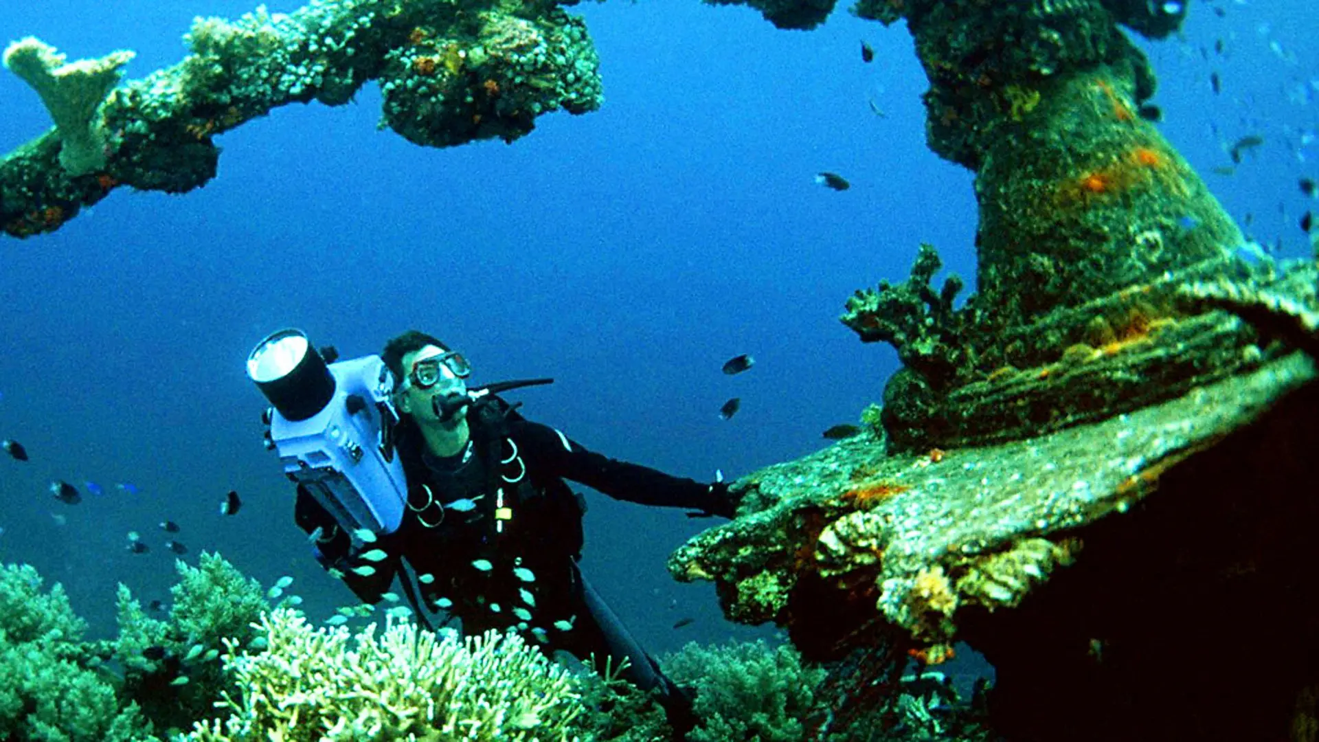 Pacific Abyss backdrop