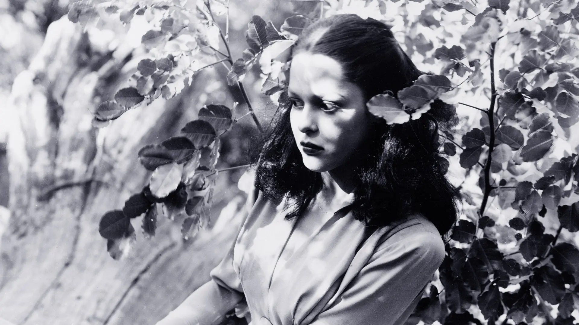 Jungle Woman backdrop