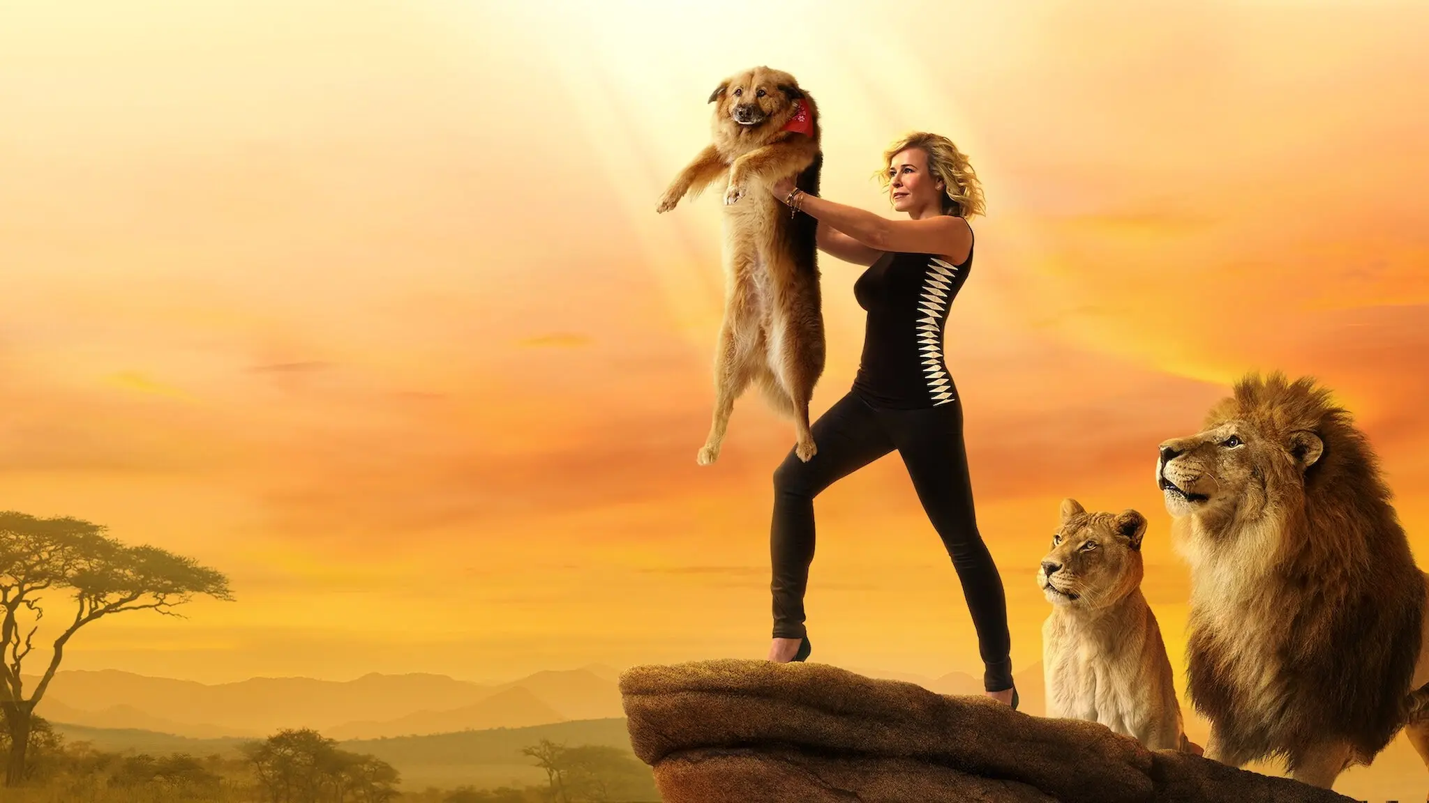 Chelsea Handler: Uganda Be Kidding Me Live backdrop