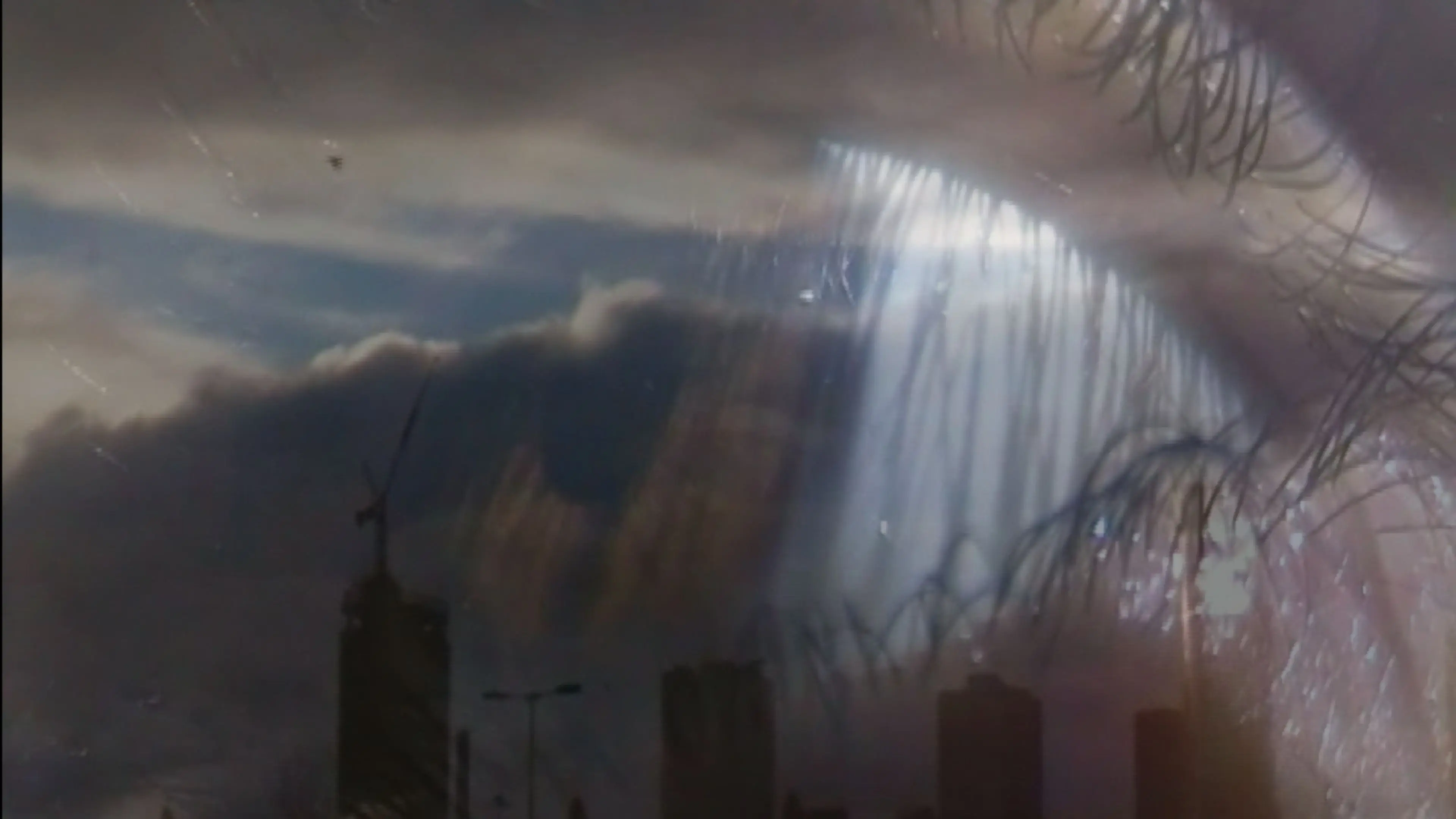 [W I N G S O F L O V E] backdrop