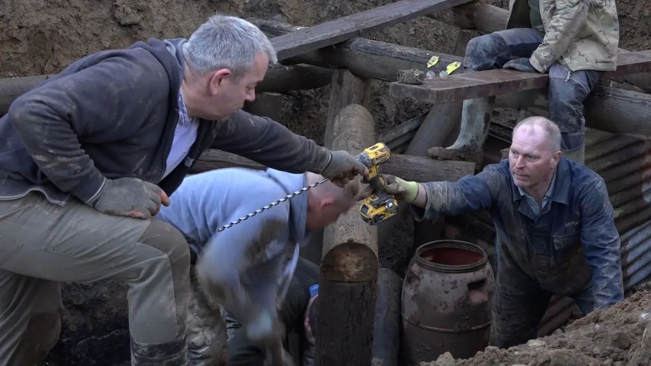 Under the Forest backdrop