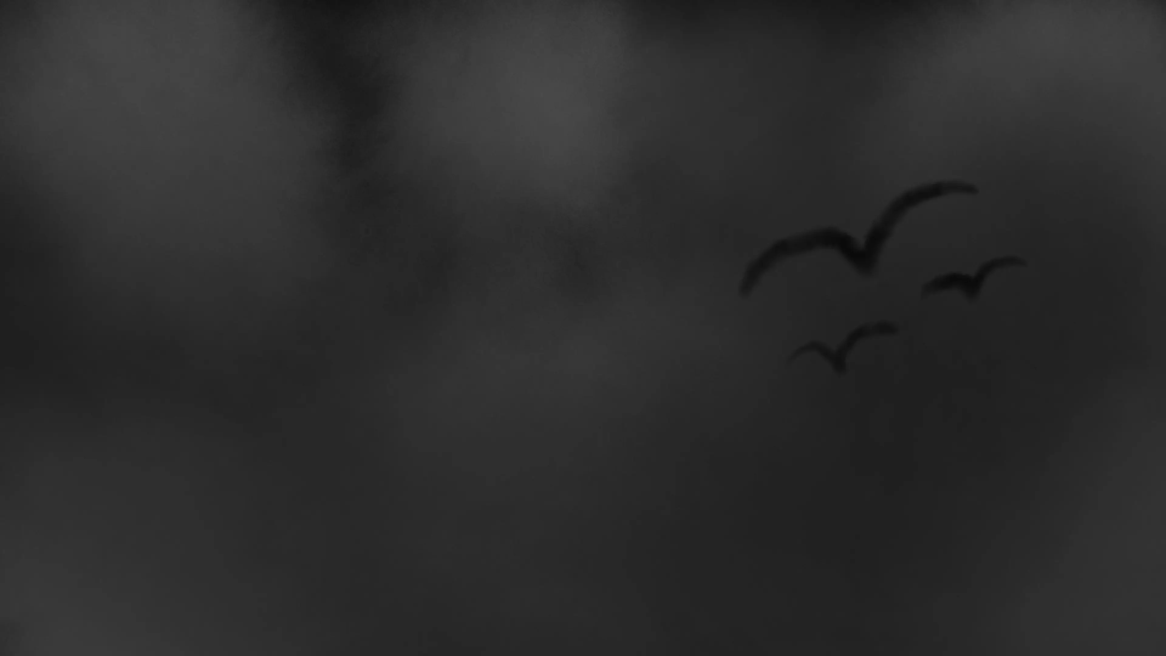 The Grudge backdrop