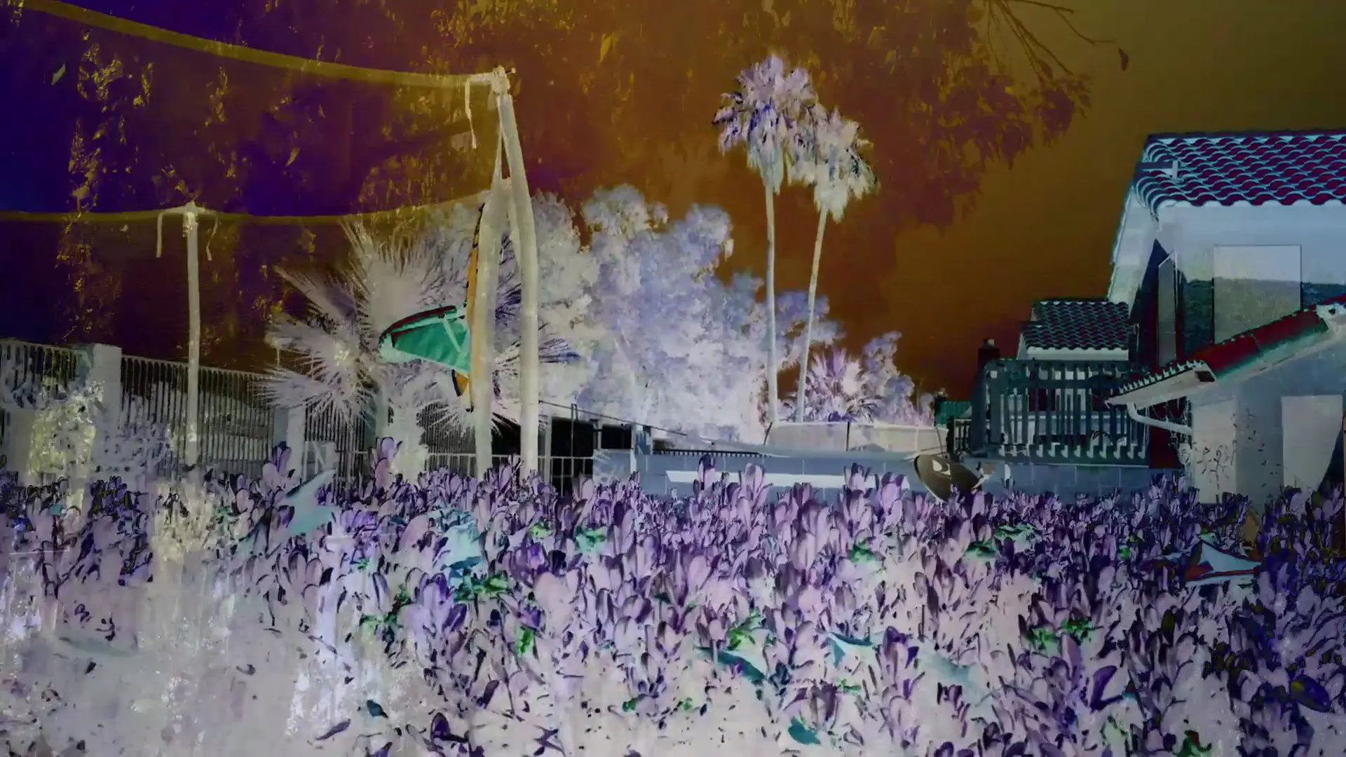 Revisited Remunerations Rapturously Collapse When Recompensed backdrop