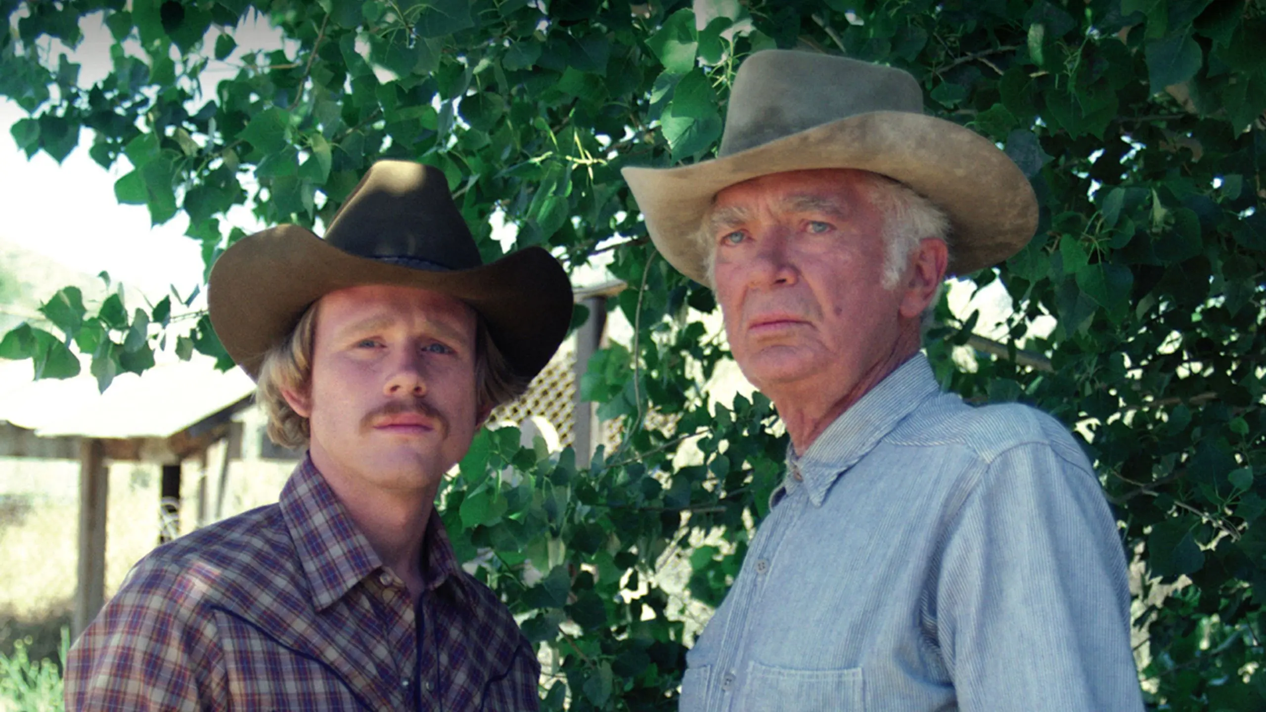 Fire on the Mountain backdrop