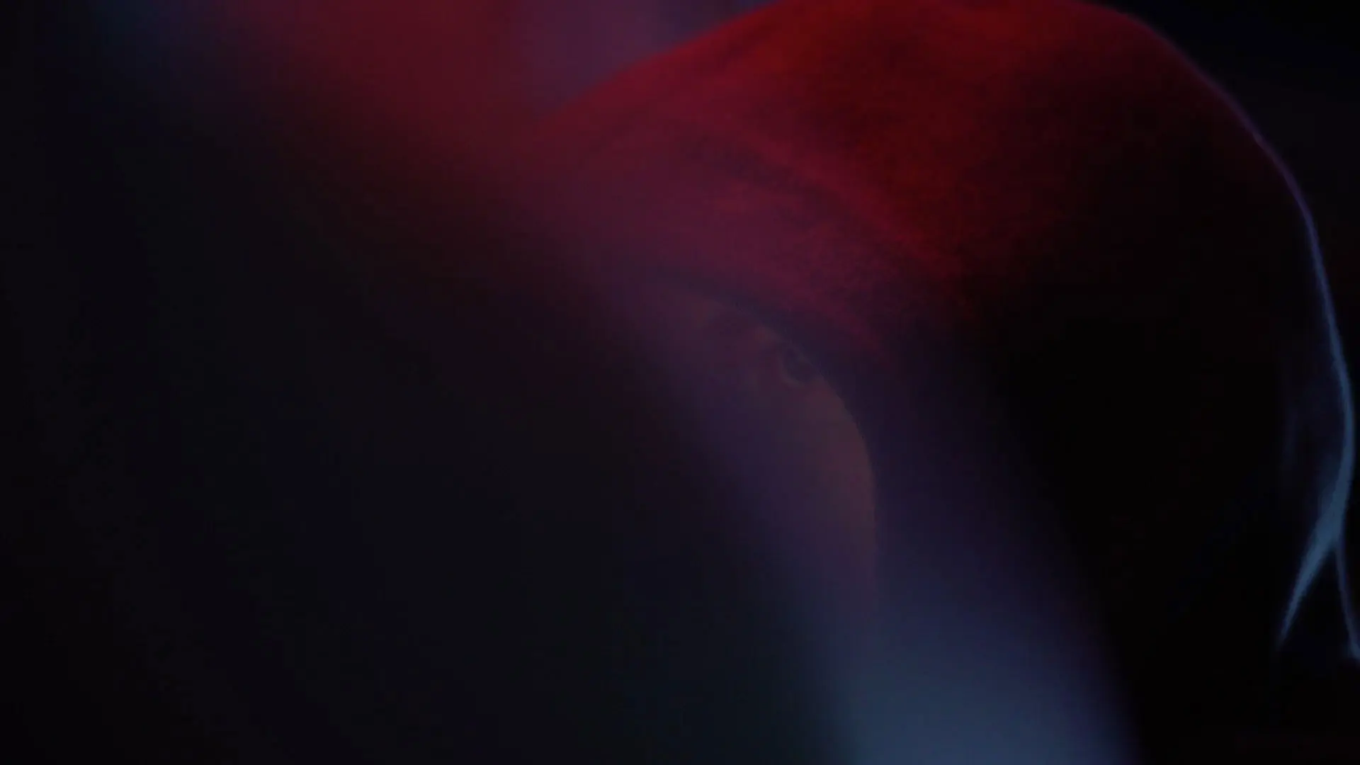 The Choice - The Risks of Web Democracy backdrop