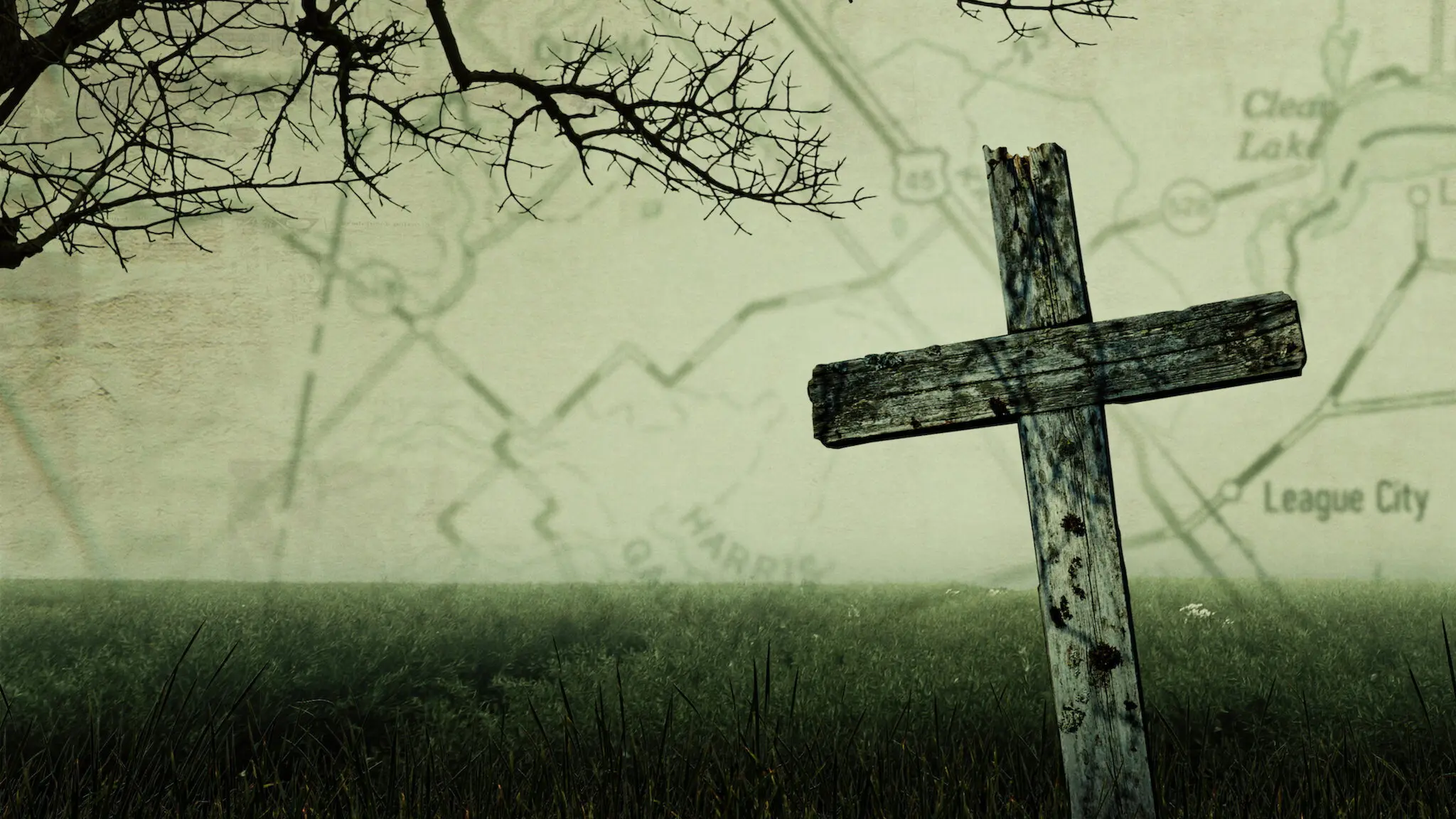 Crime Scene: The Texas Killing Fields backdrop