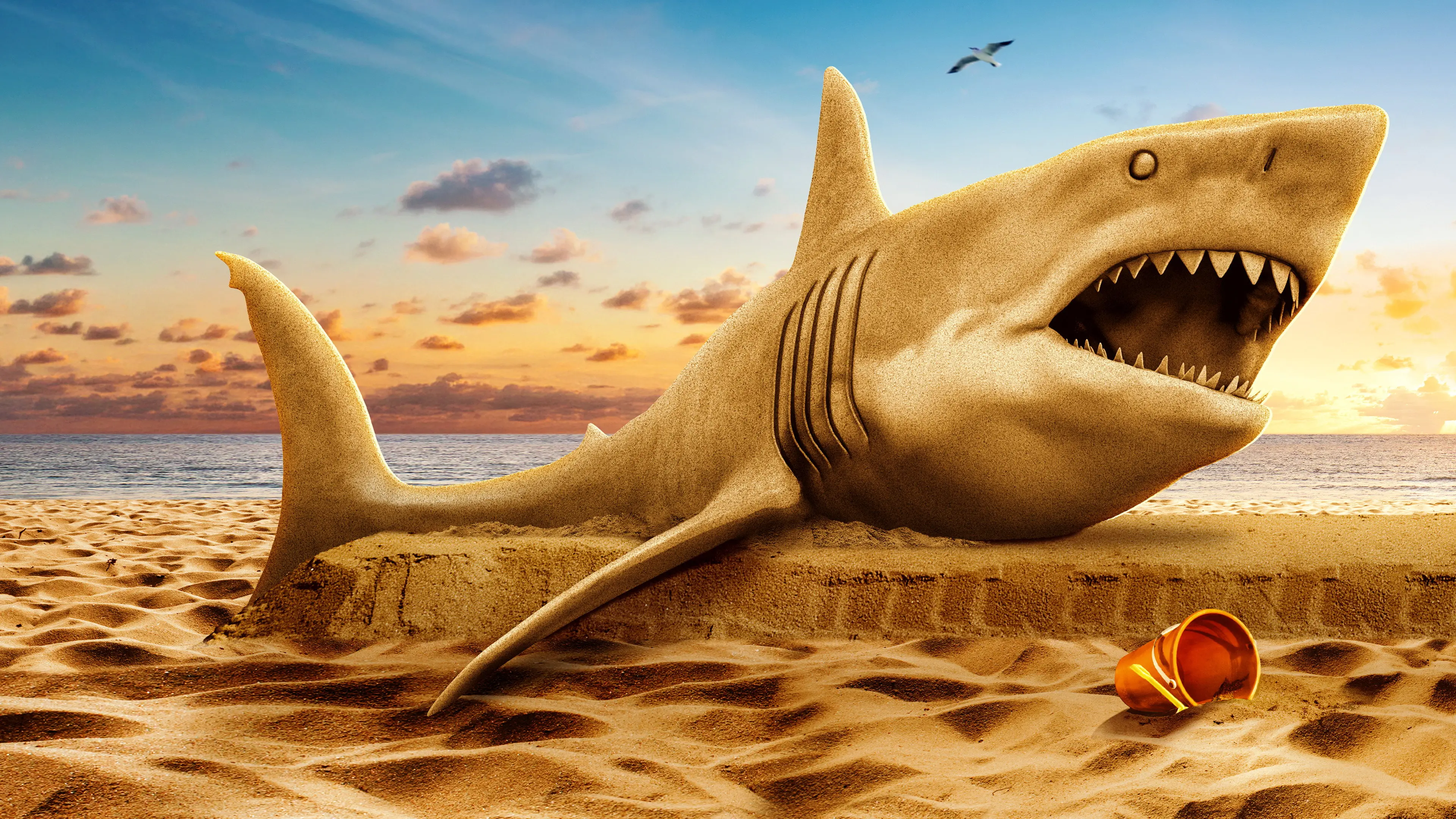 Shark Week backdrop