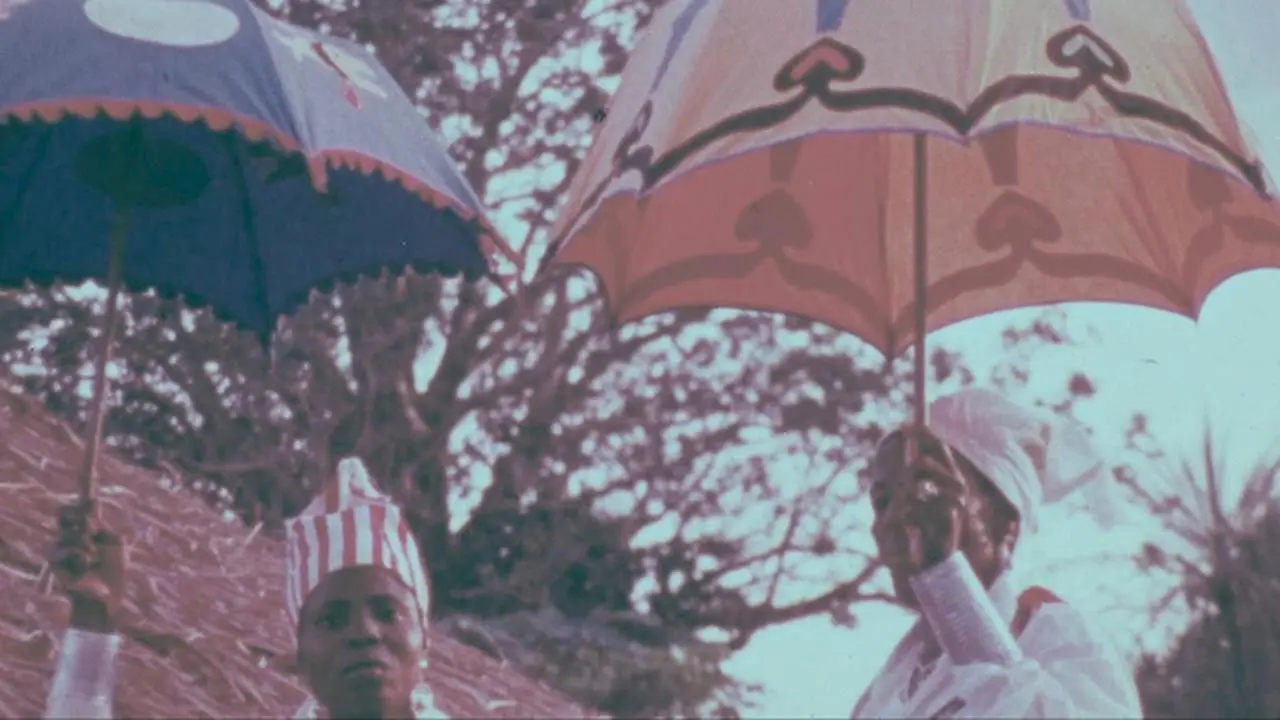 Under the Sign of Voodoo backdrop