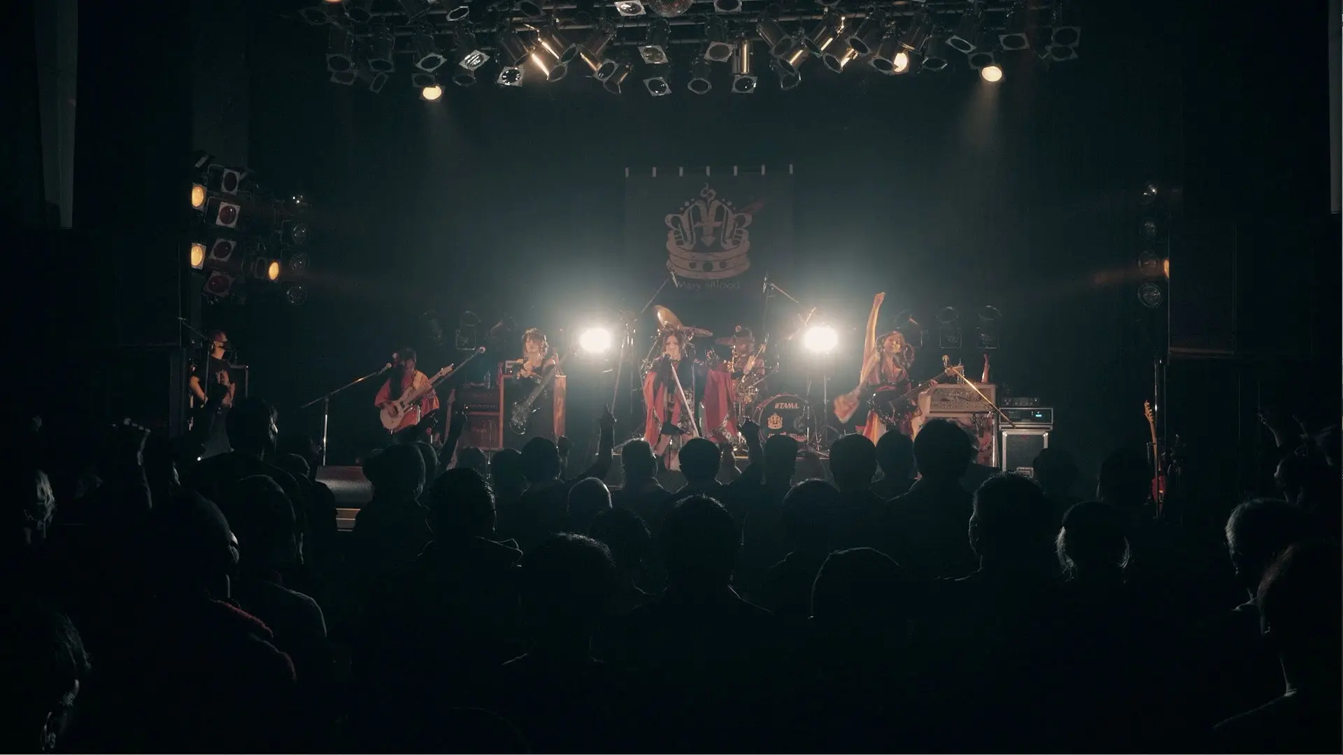 Mary's Blood SUPER LIVE 2020 at O-WEST backdrop