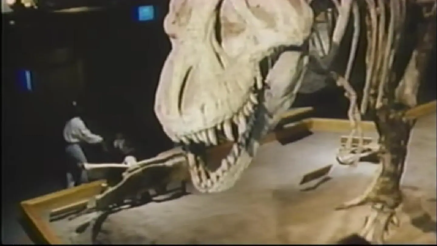 The Real Jurassic Park backdrop