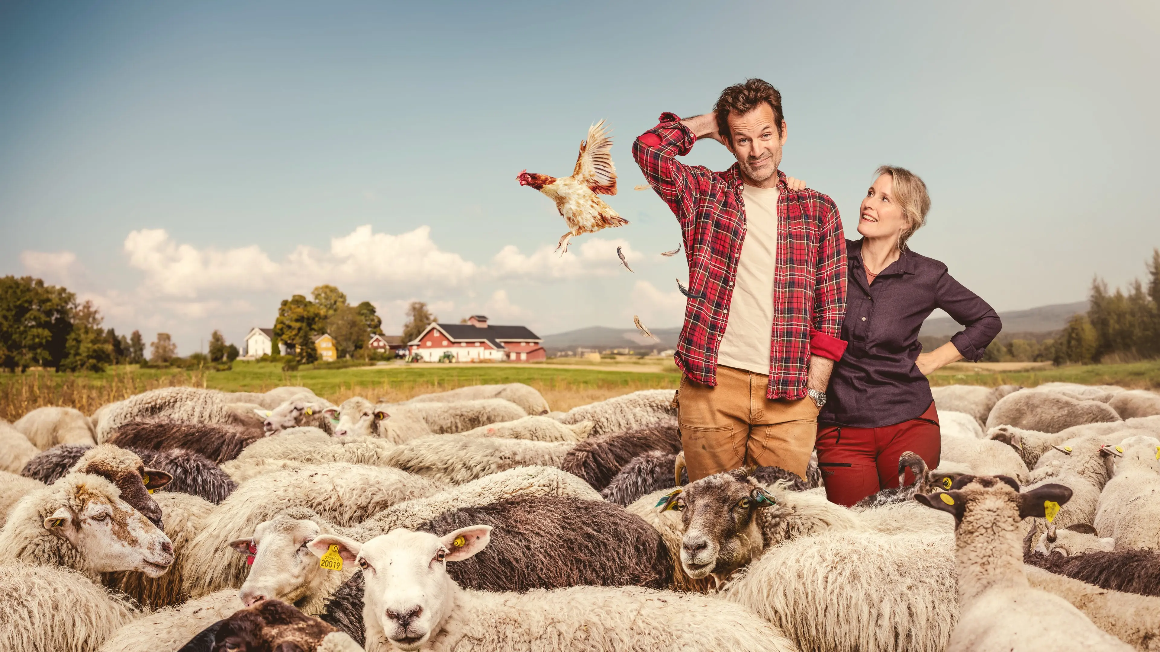 Jon's Farm backdrop