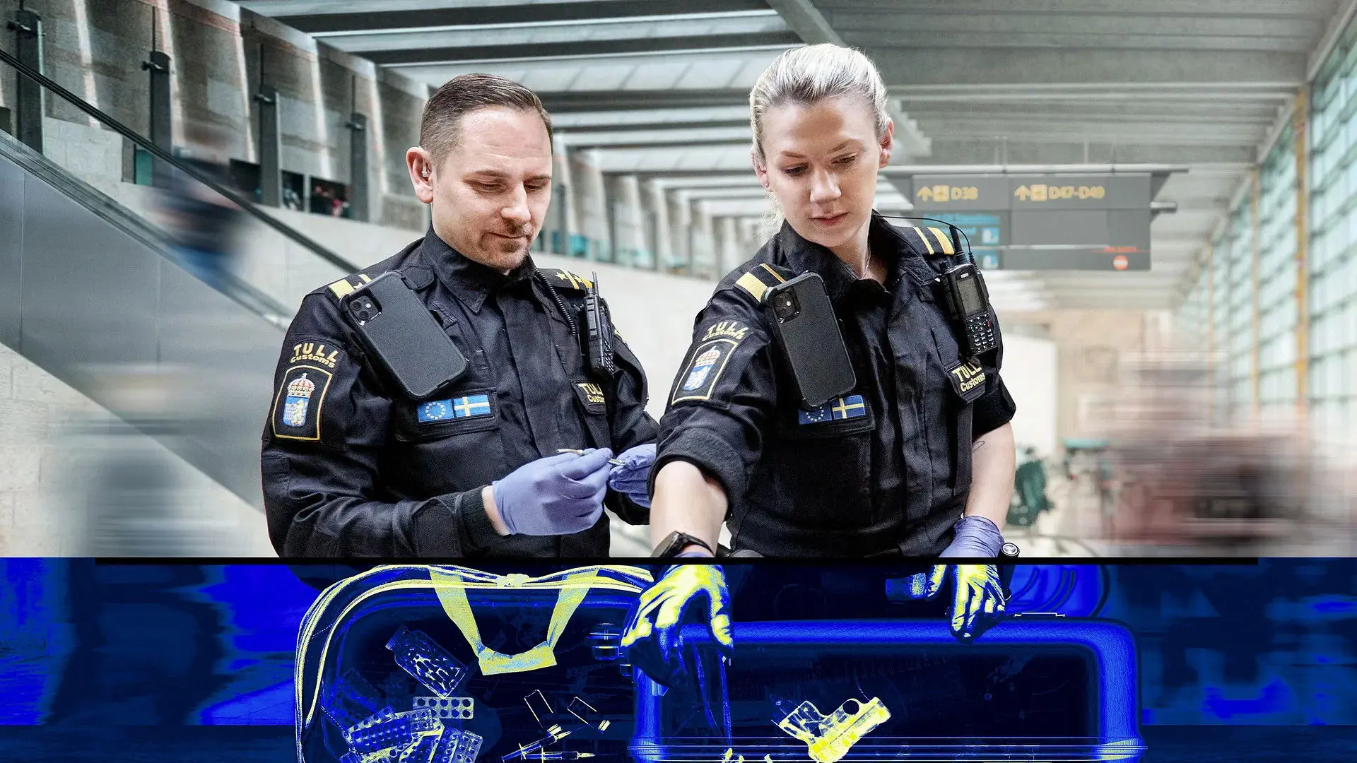 Border Control: Sweden backdrop