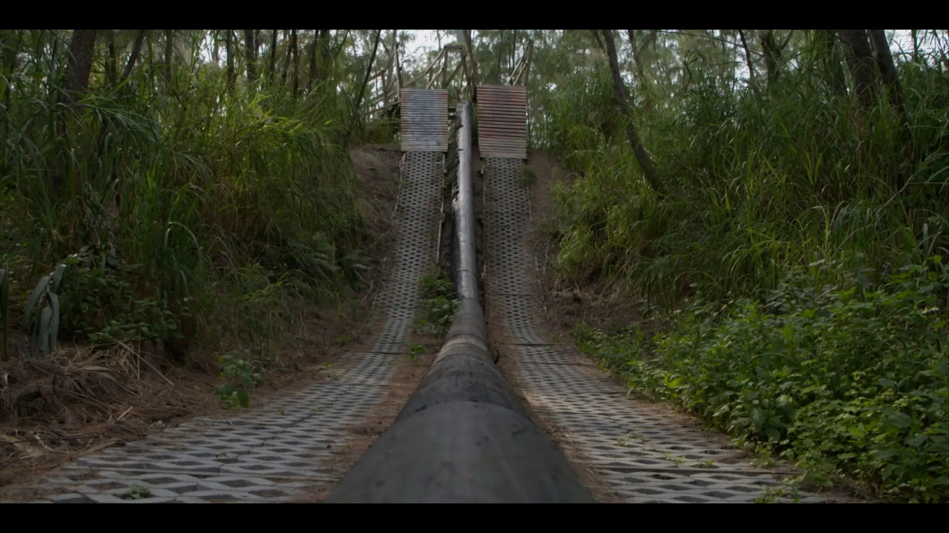 Dirt Therapy backdrop