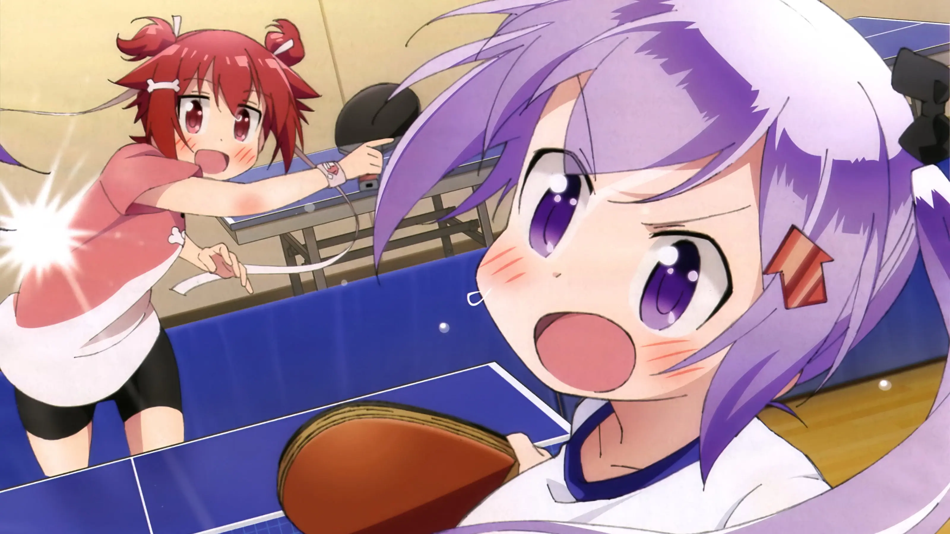 Scorching Ping Pong Girls backdrop