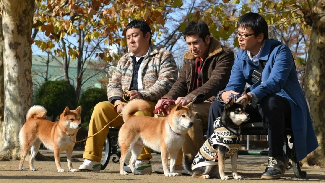 Shiba Park backdrop