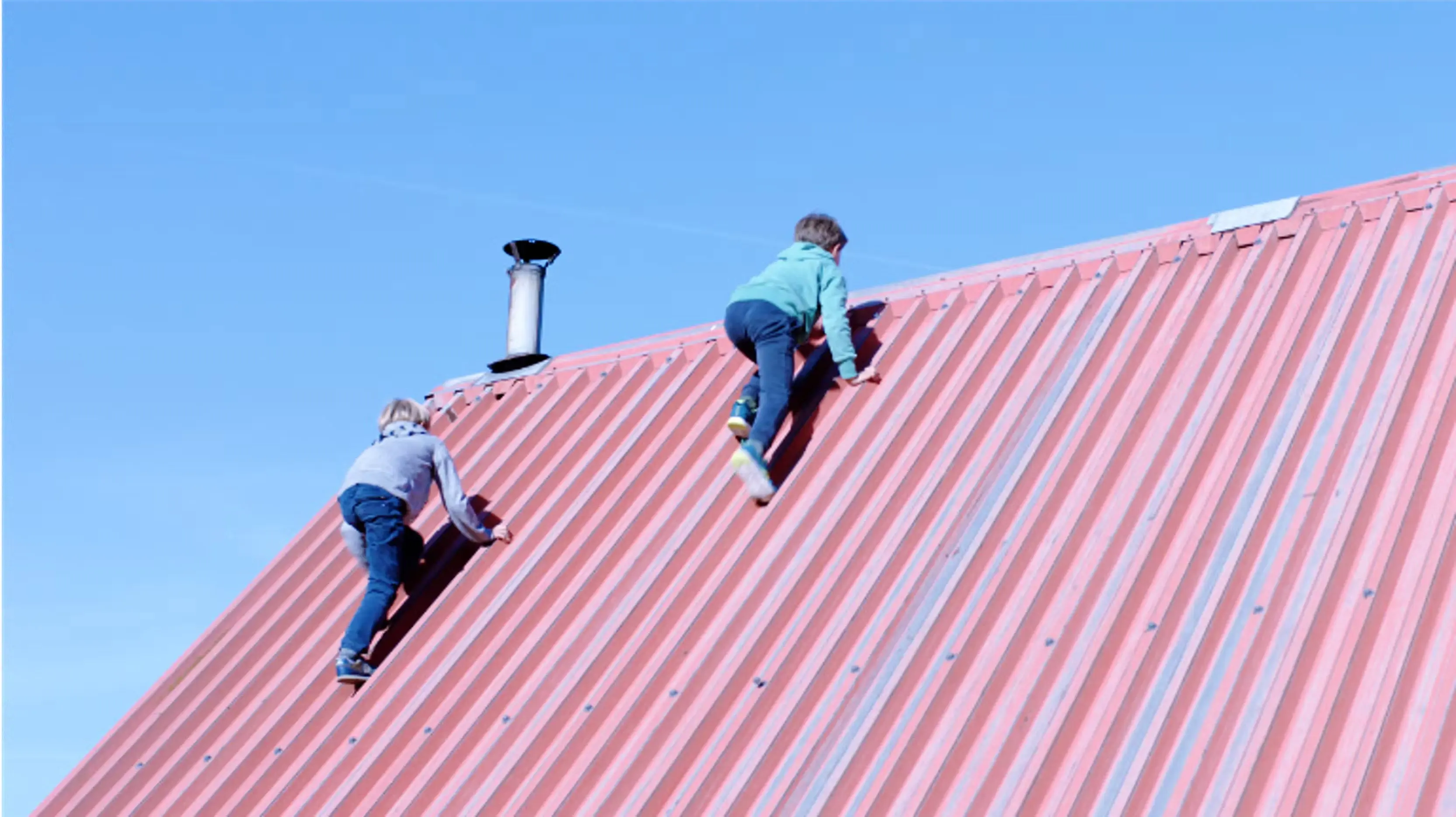 Life, Assembled backdrop