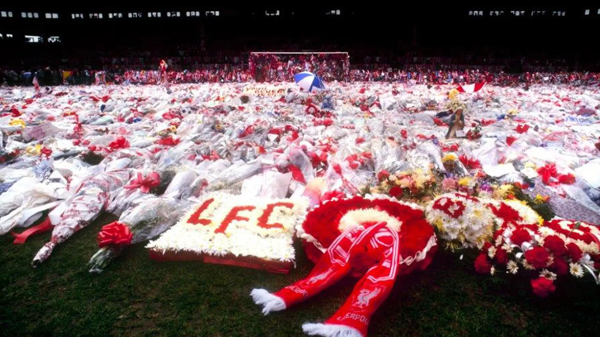 Hillsborough backdrop