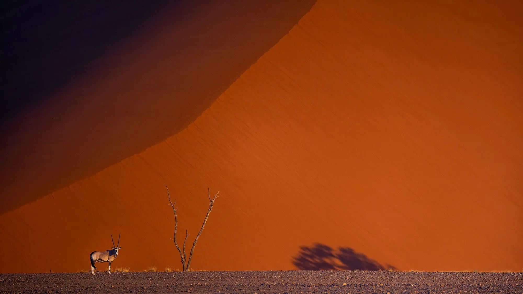 Namibie : exceptionnelle par nature backdrop