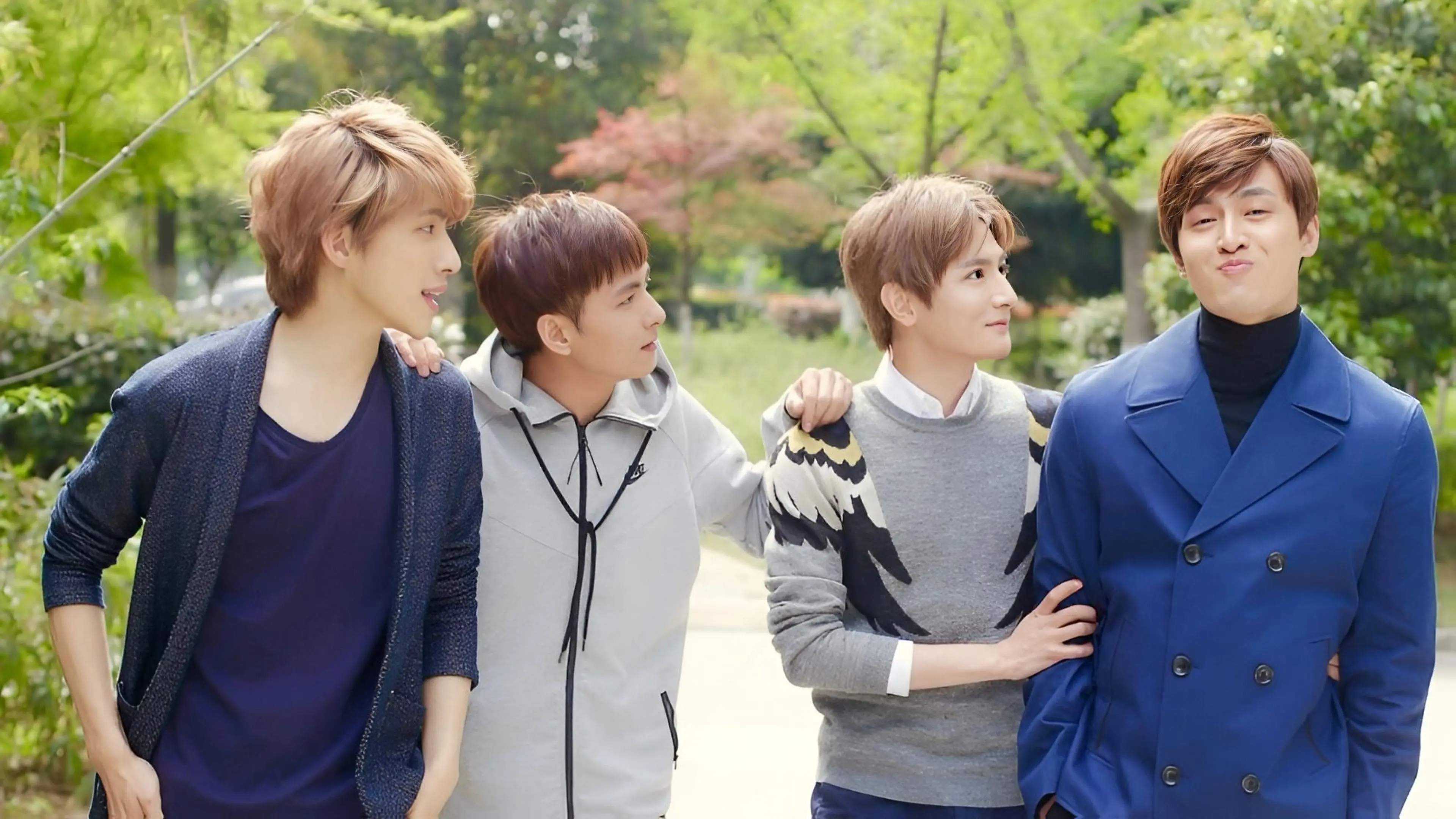 A Round Trip to Love 2 backdrop