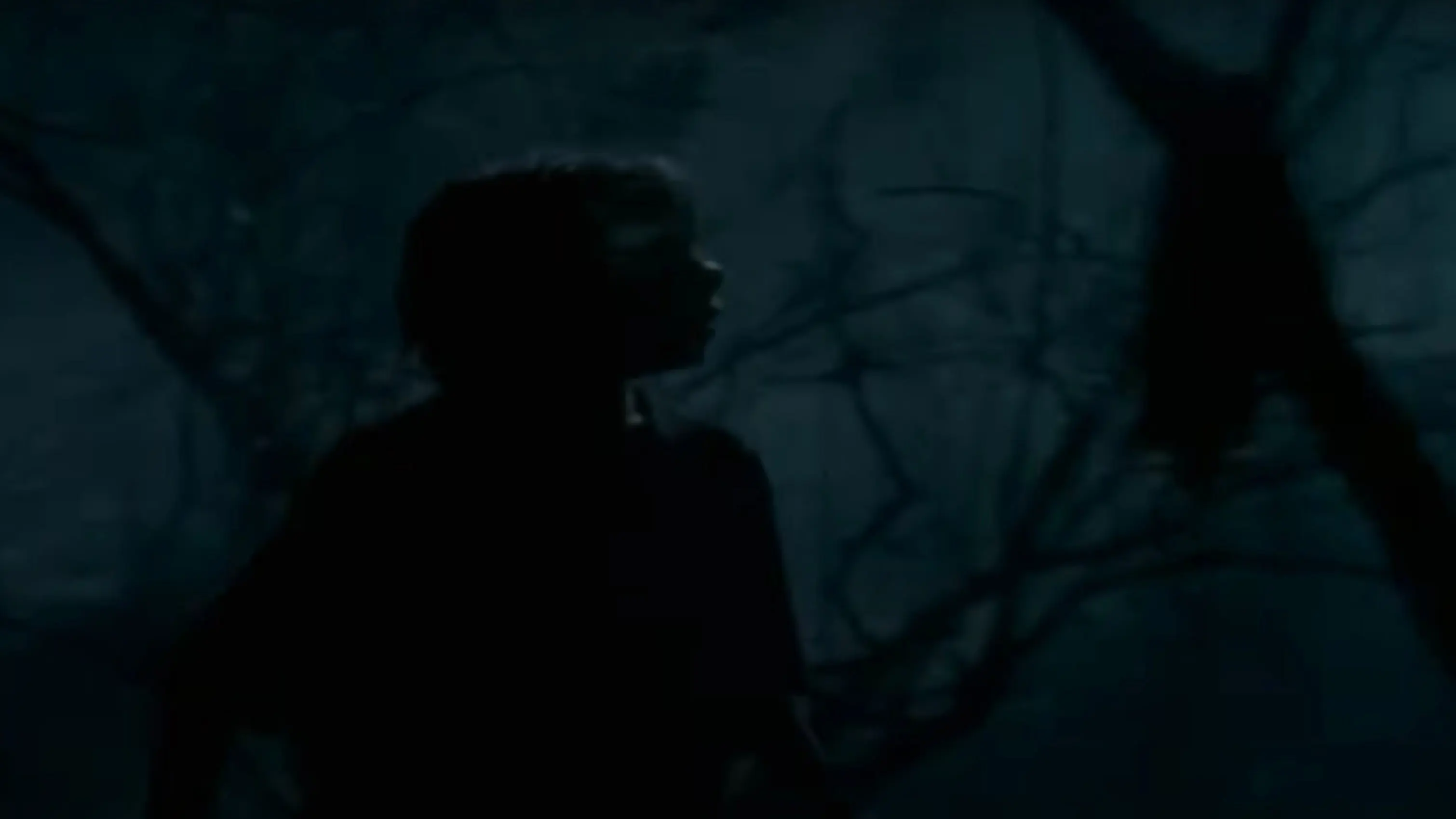 Goosebumps: The Werewolf of Fever Swamp backdrop