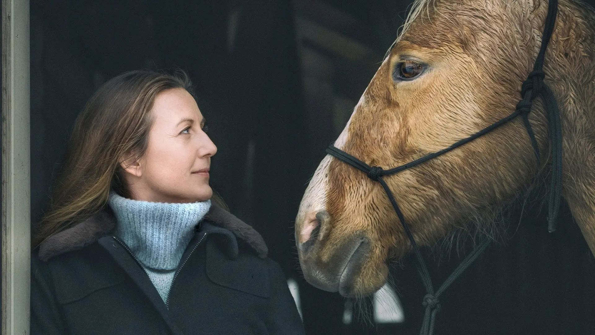Flocken backdrop