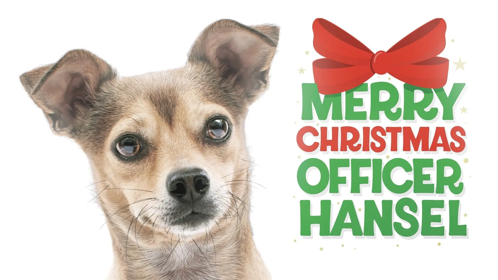 Merry Christmas Officer Hansel backdrop